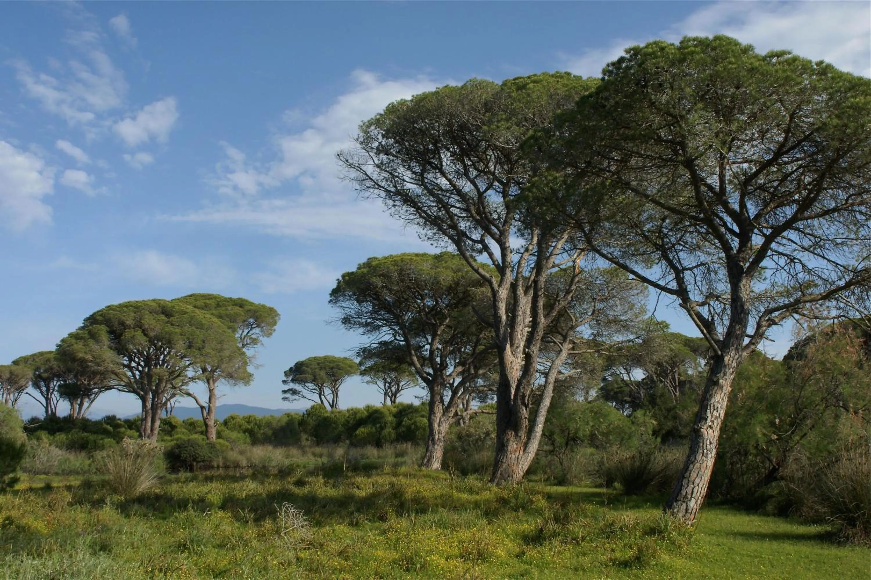 Verde Al Mare Boutique Hotel