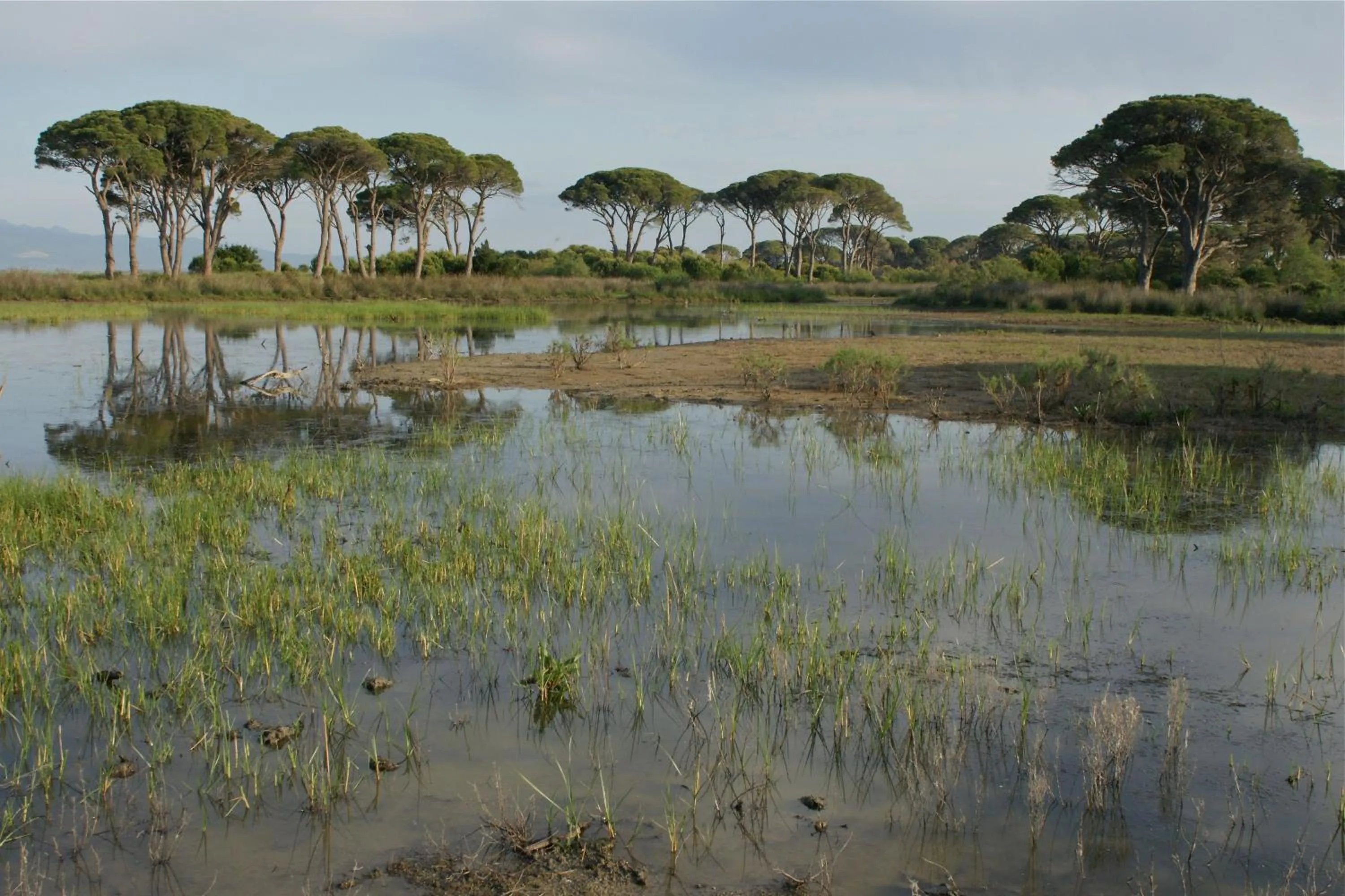 Verde Al Mare Boutique Hotel