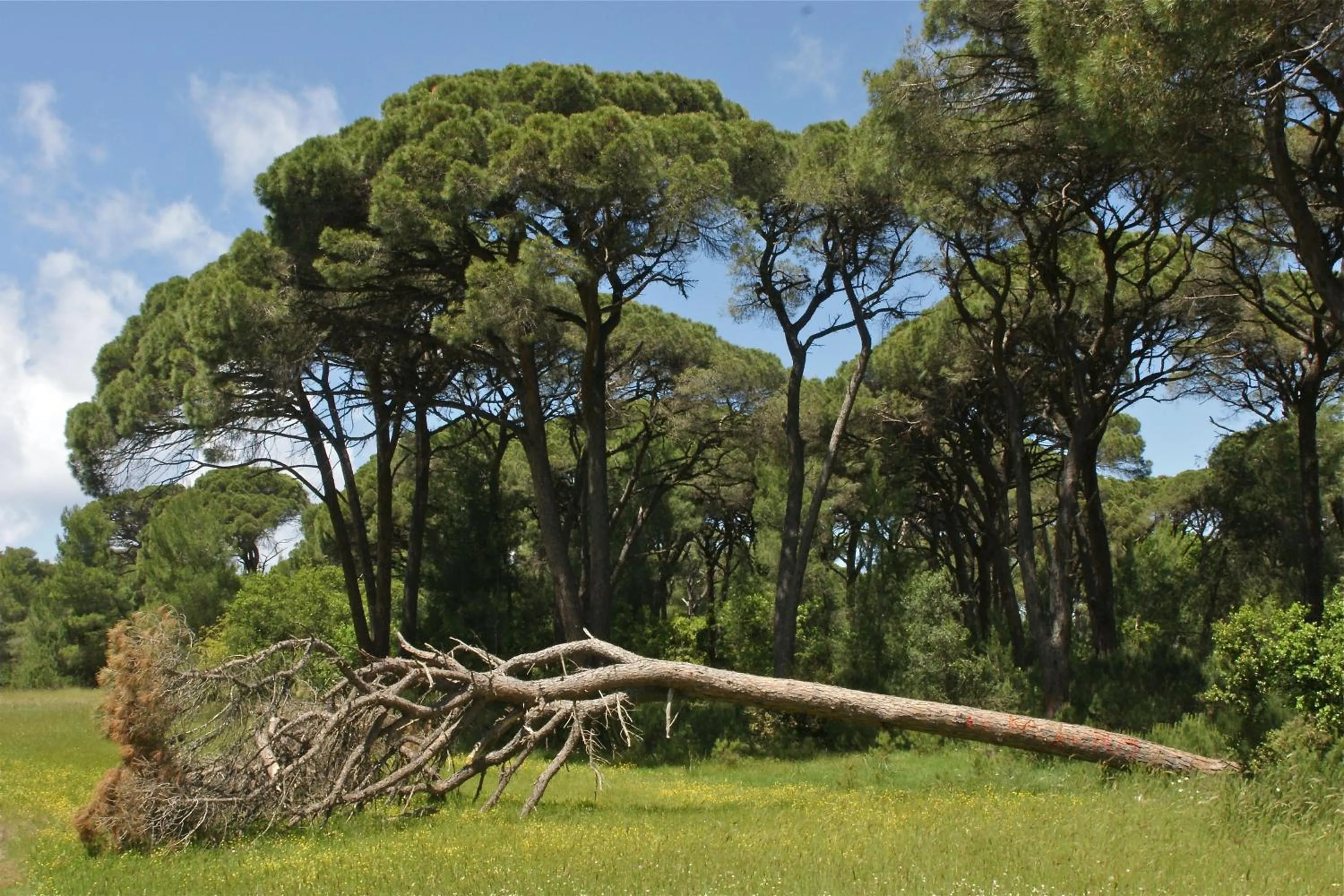 Verde Al Mare Boutique Hotel