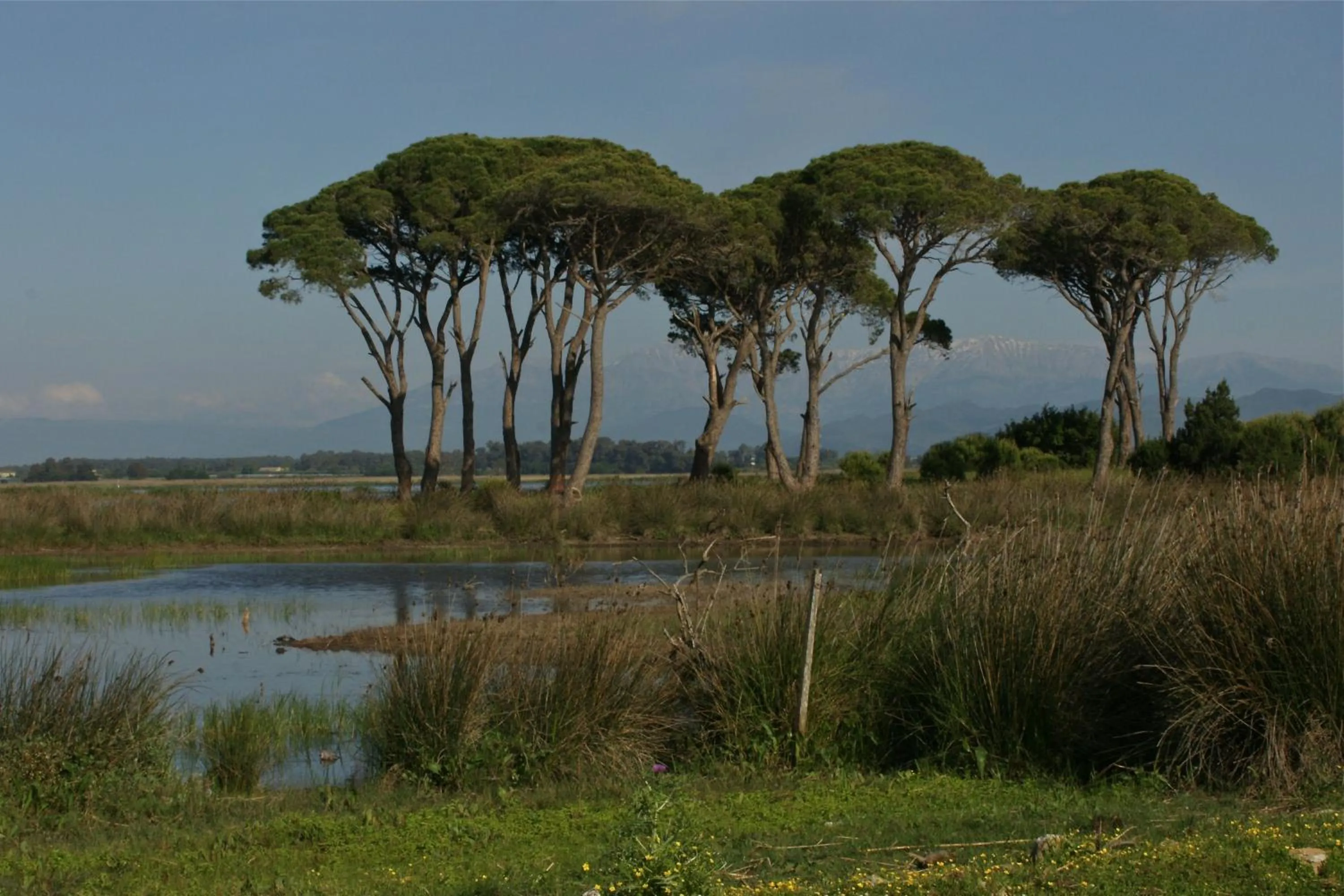 Verde Al Mare Boutique Hotel