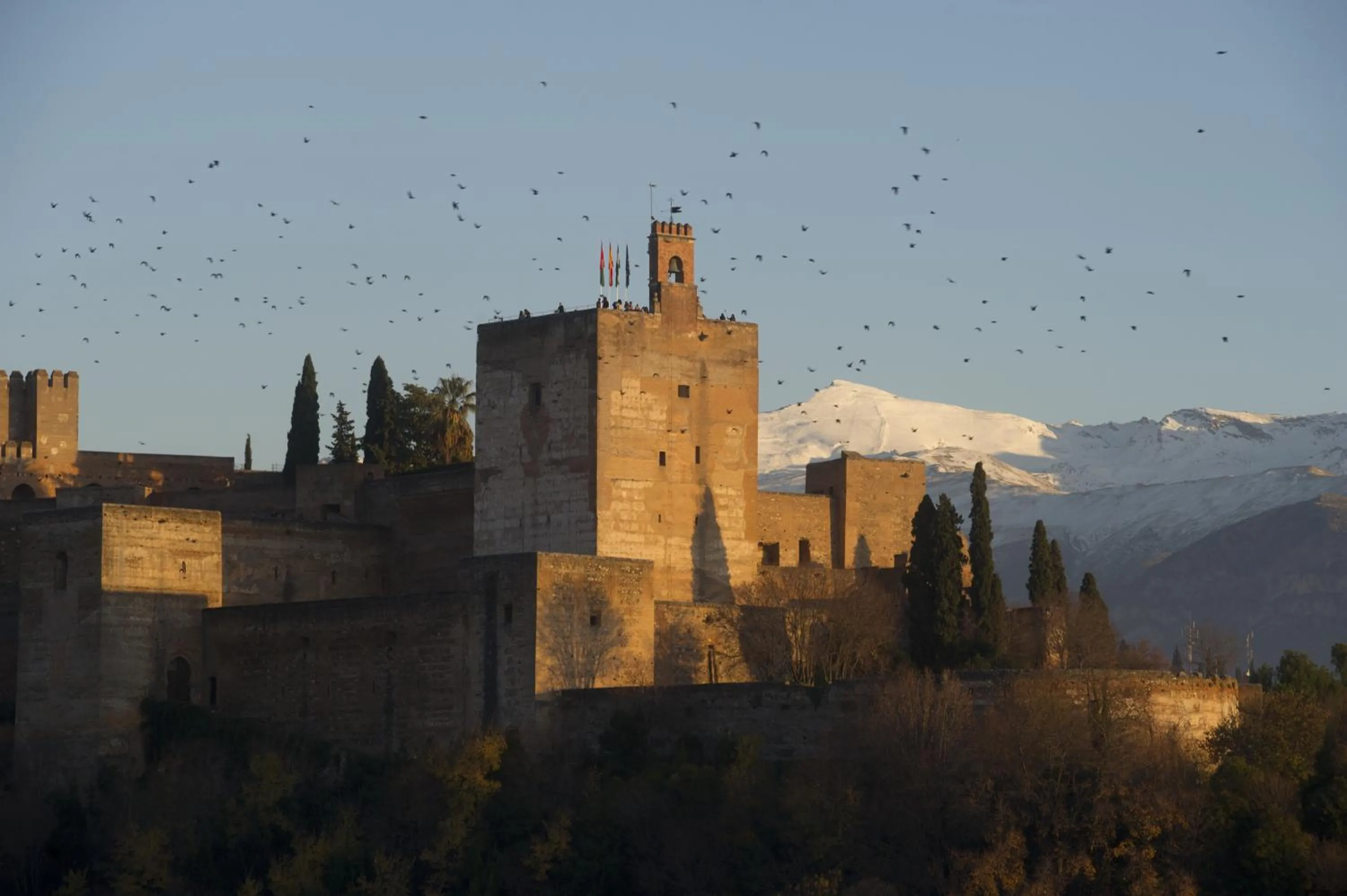 View (from property/room) in Smart Suites Albaicin