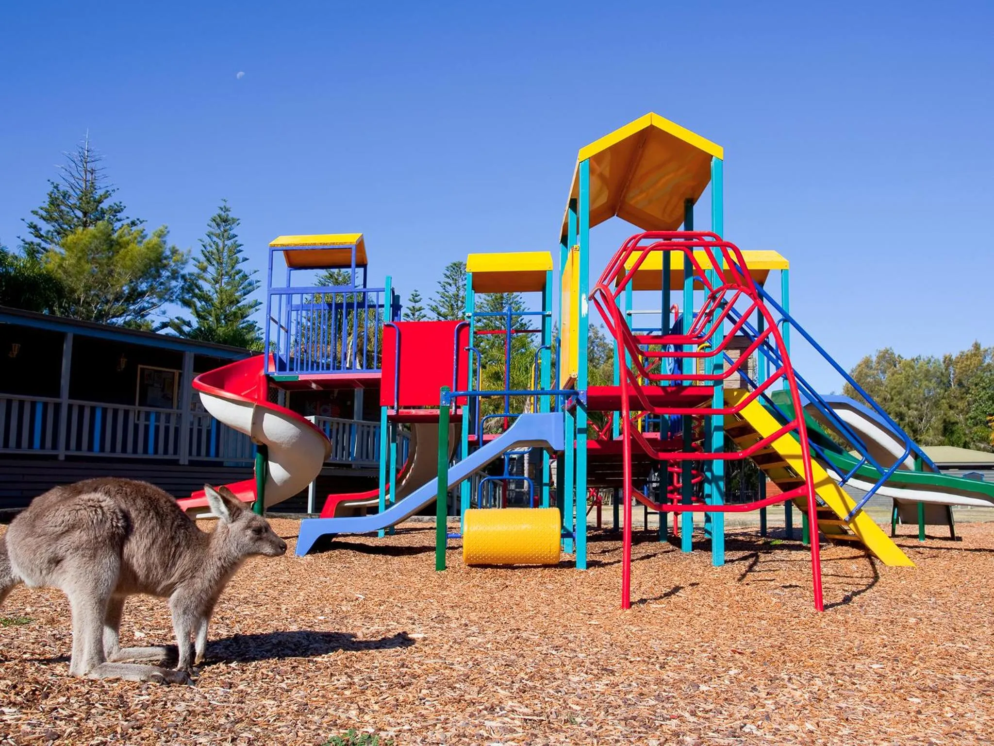 Children play ground in NRMA Murramarang Beachfront Holiday Resort