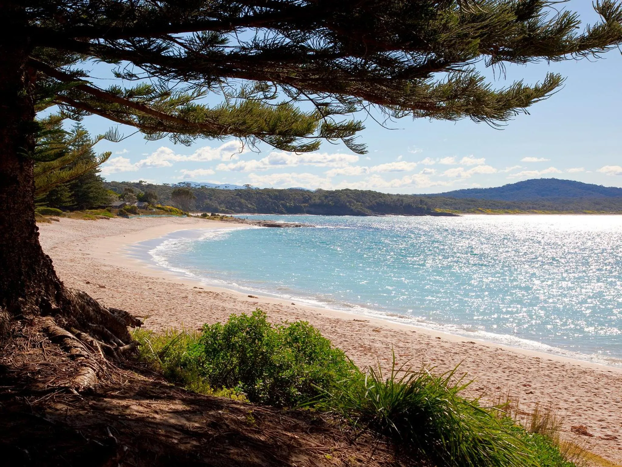 Beach in NRMA Murramarang Beachfront Holiday Resort
