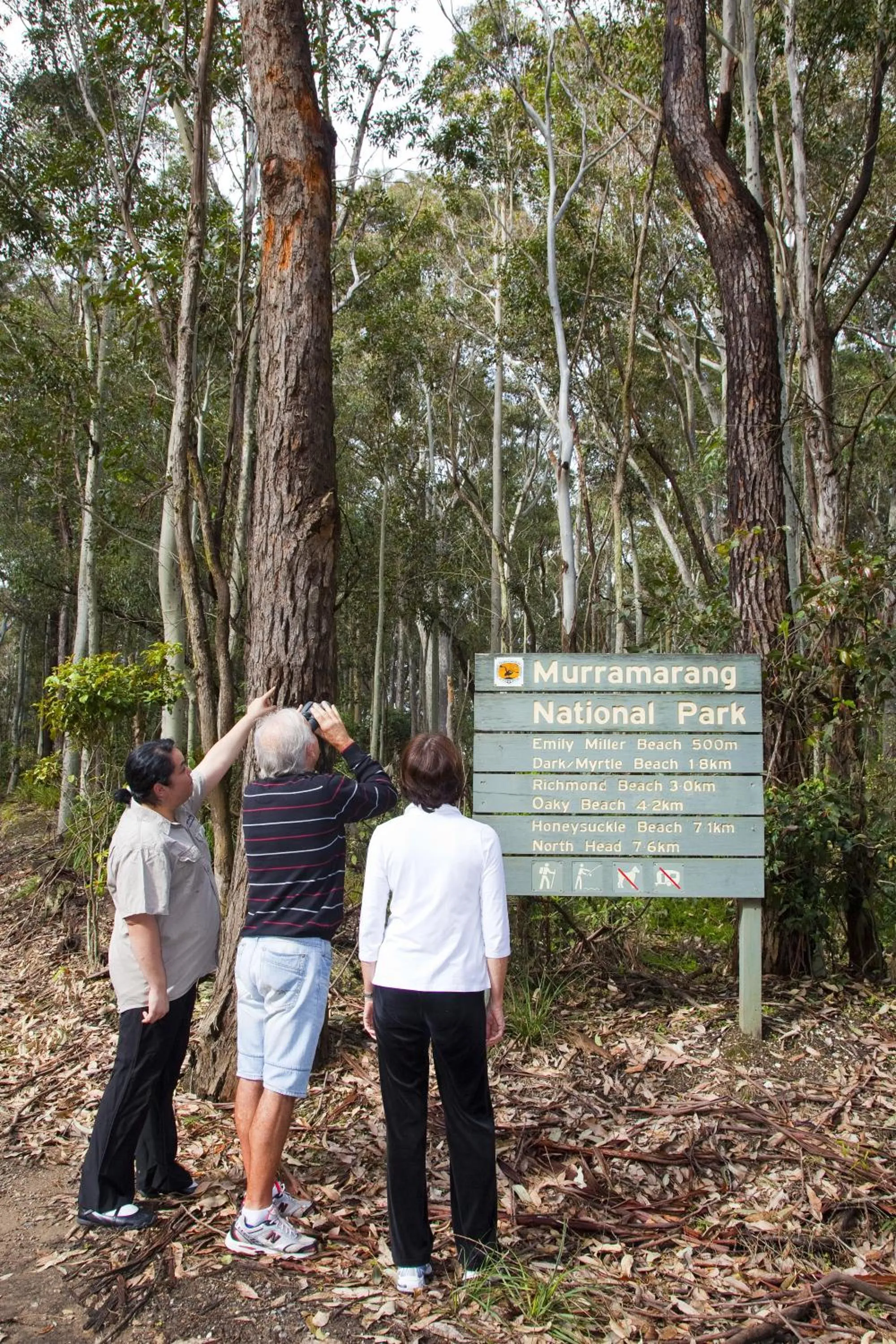 People in NRMA Murramarang Beachfront Holiday Resort
