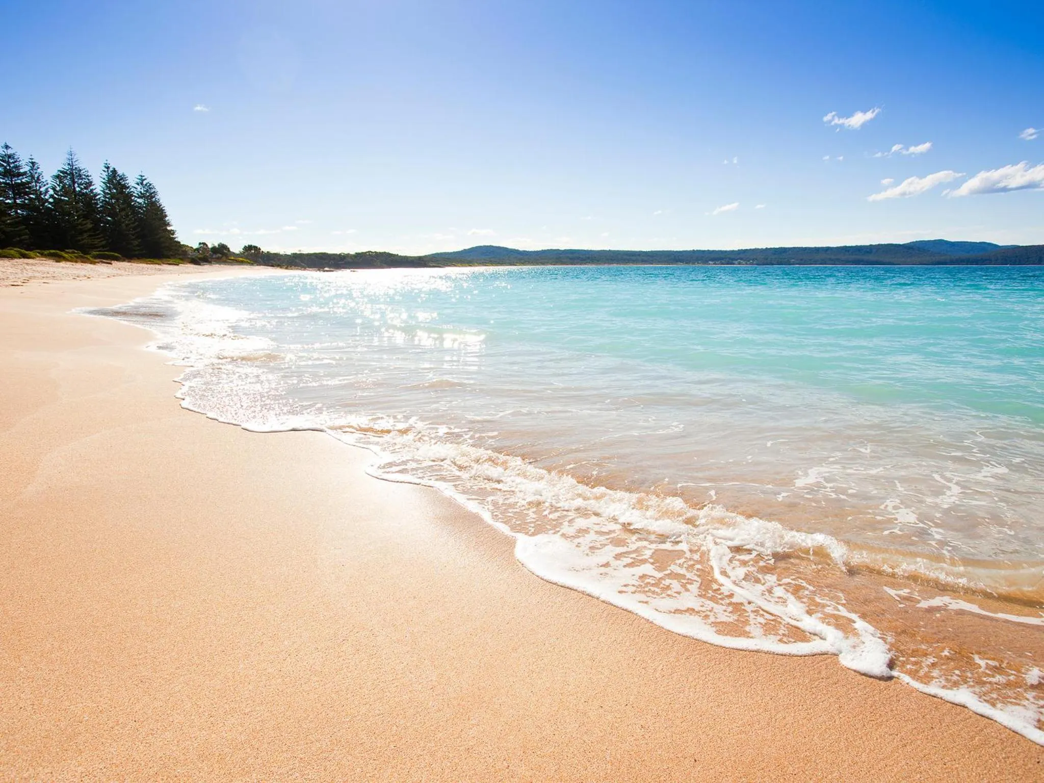Beach in NRMA Murramarang Beachfront Holiday Resort