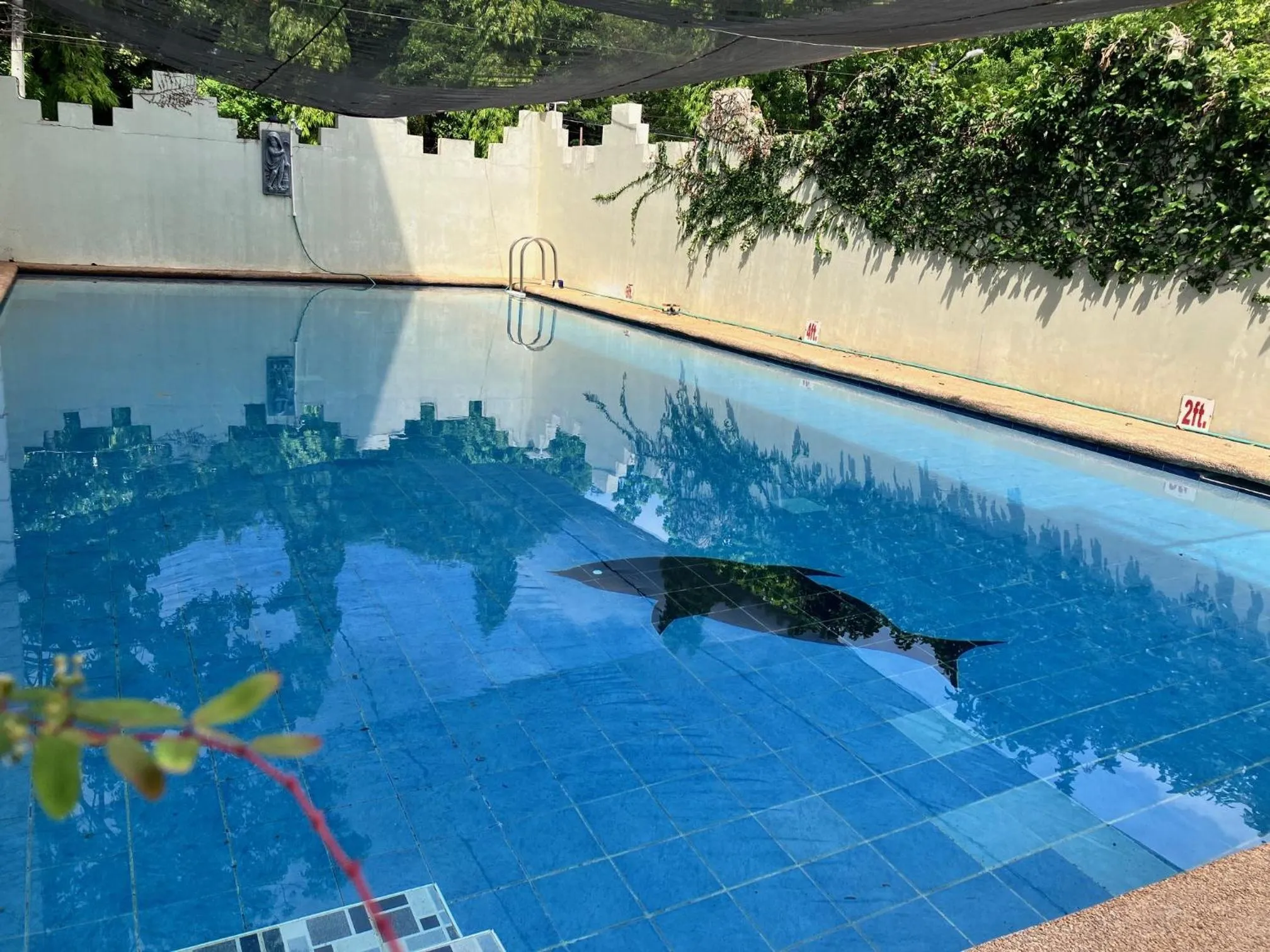 Swimming pool in Buena Casa Hotel