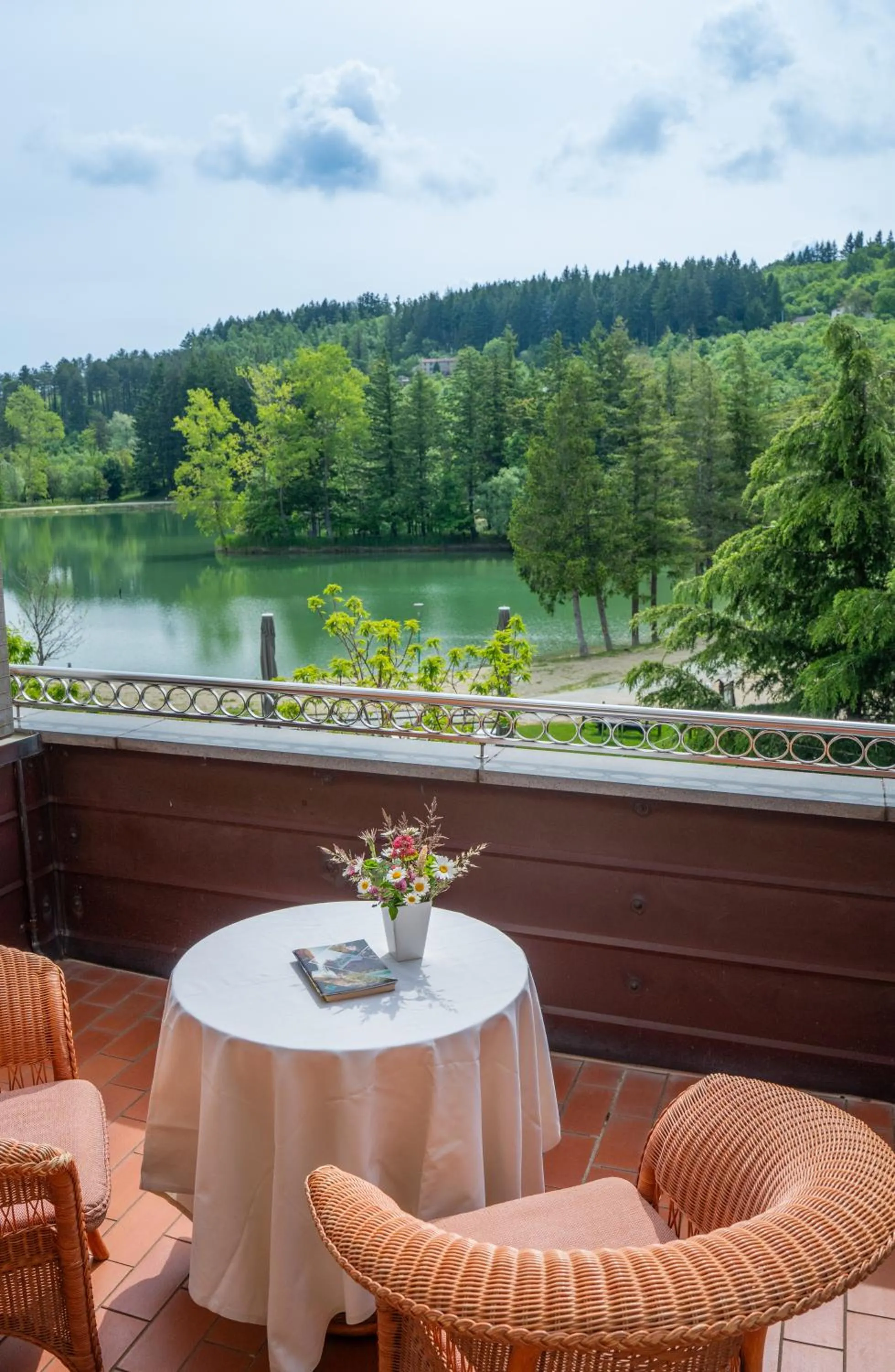 View (from property/room) in Hotel Miramonti