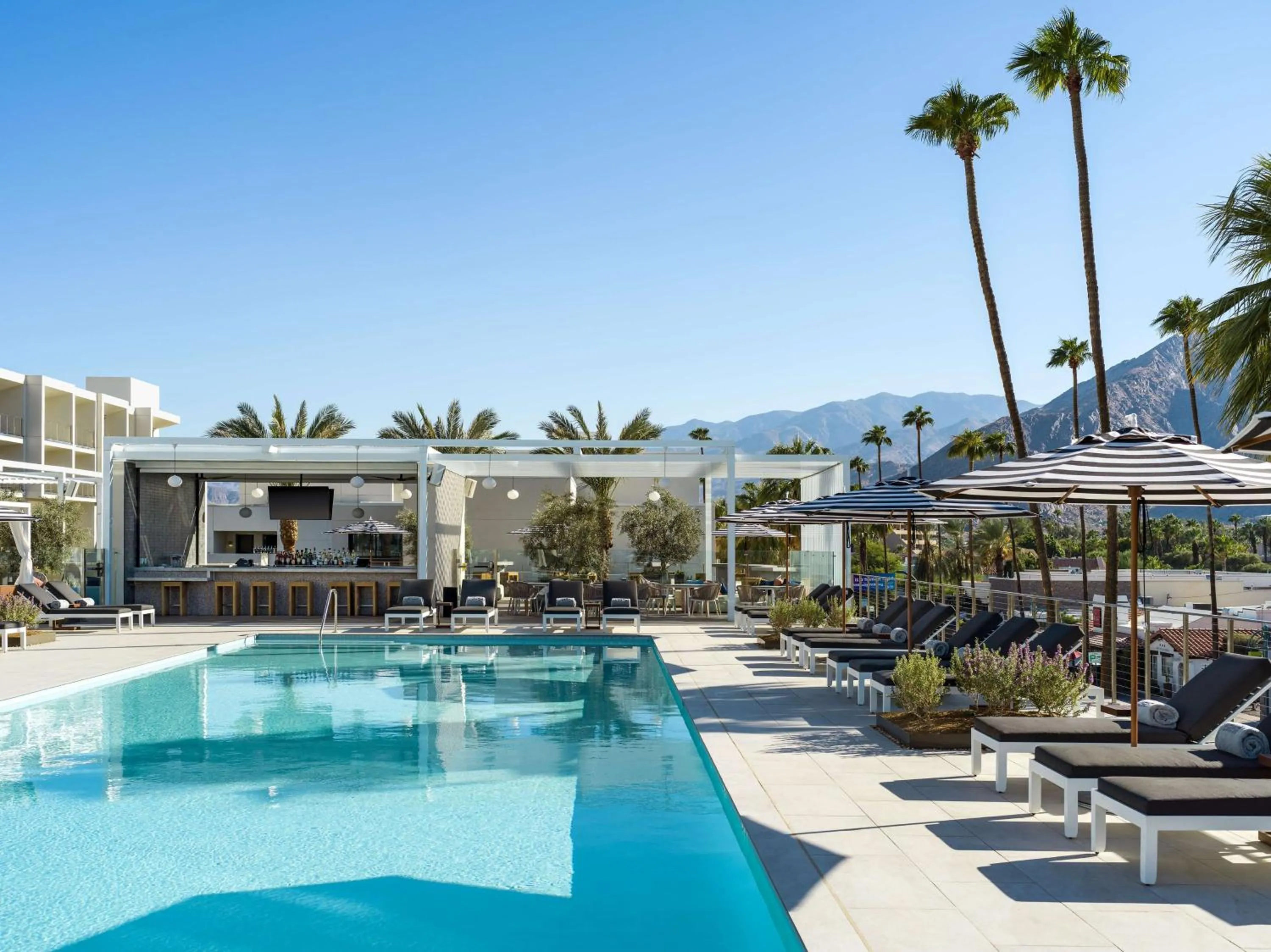 Swimming pool in Thompson Palm Springs, By Hyatt