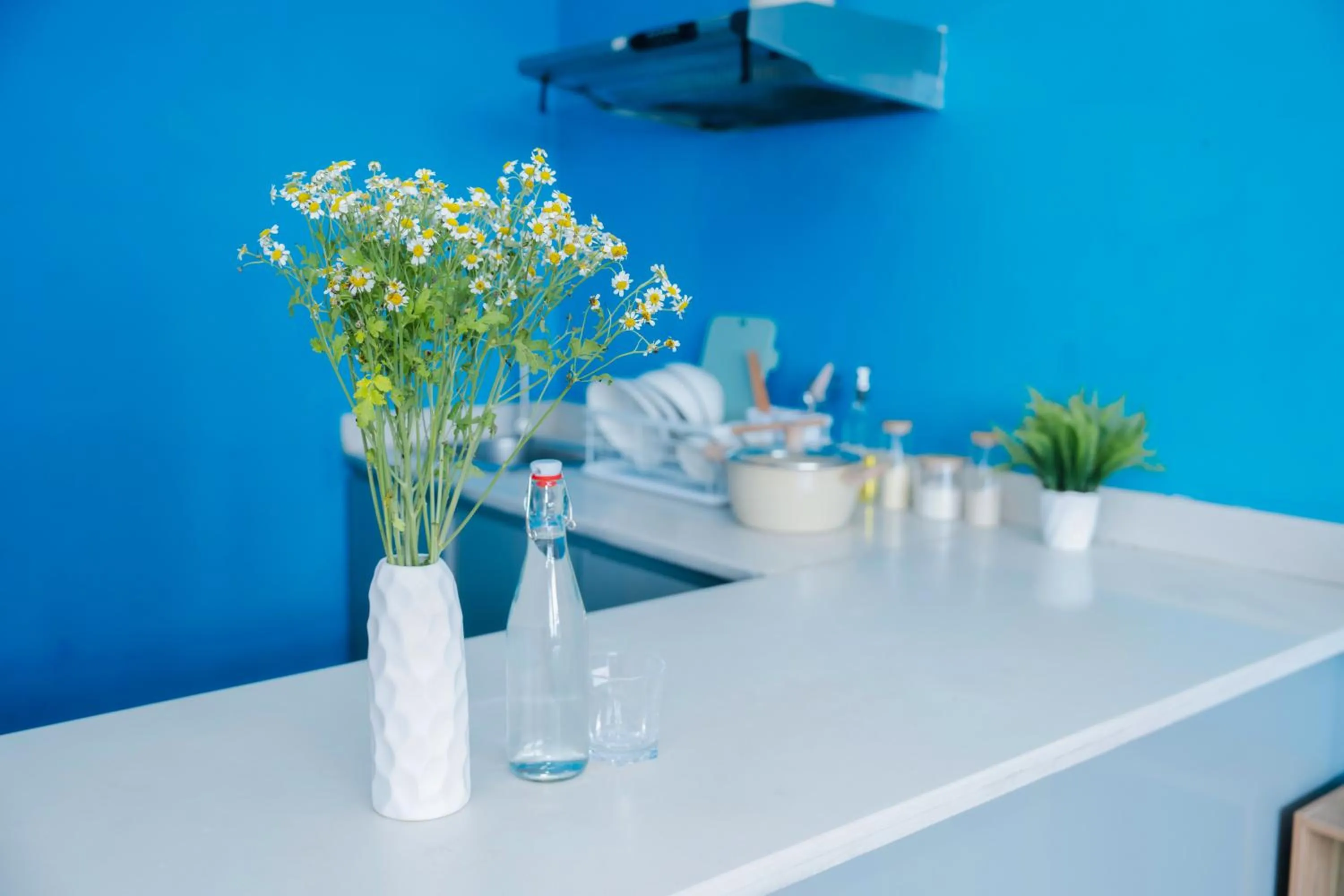 stove in Rêver Home