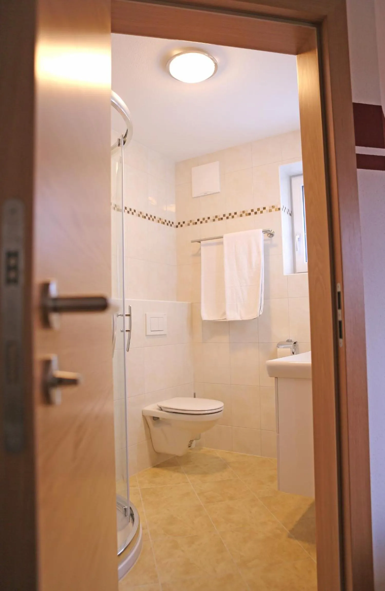 Bathroom in Zeilner Dachstein Apartment