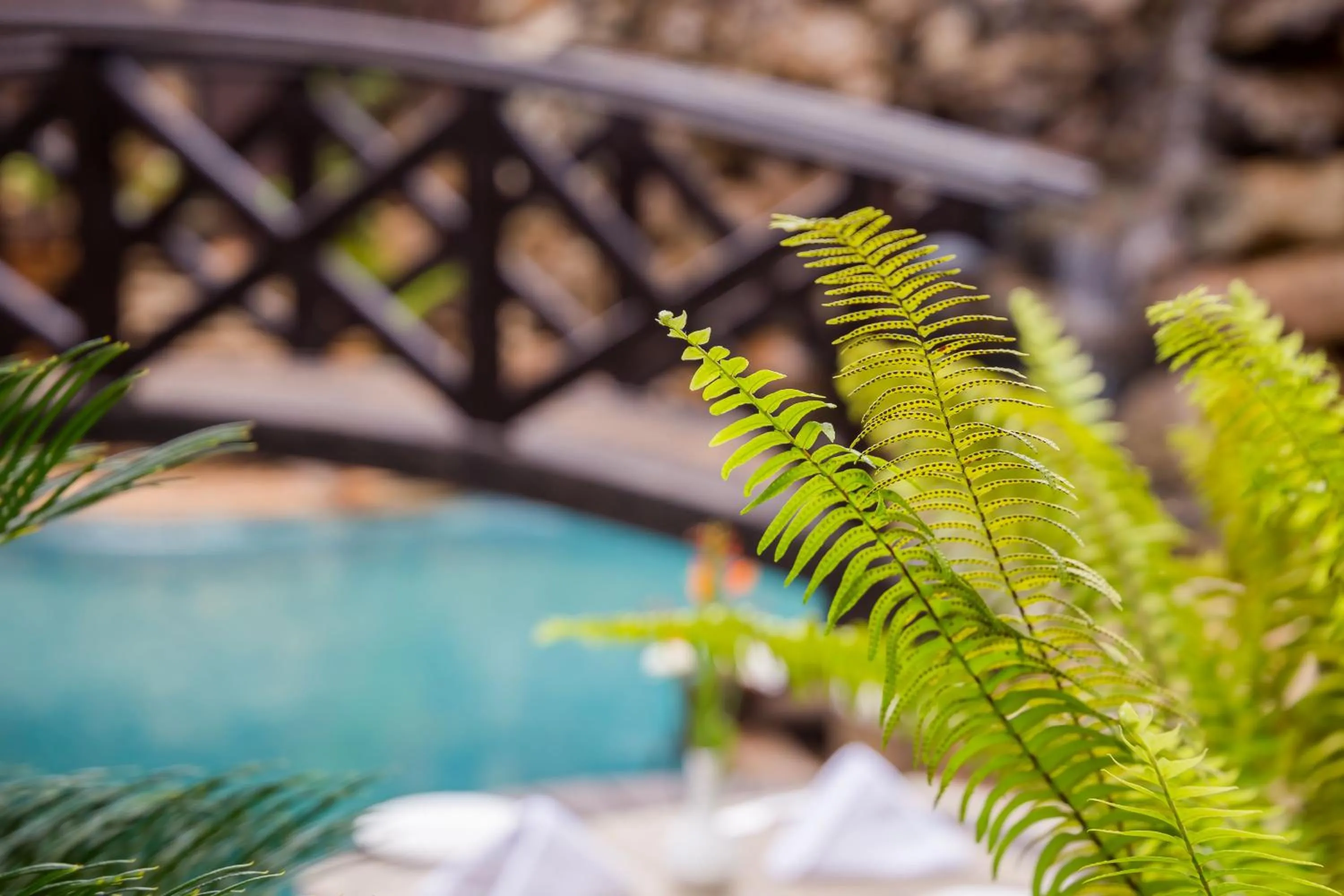 Garden in The Grand Gables