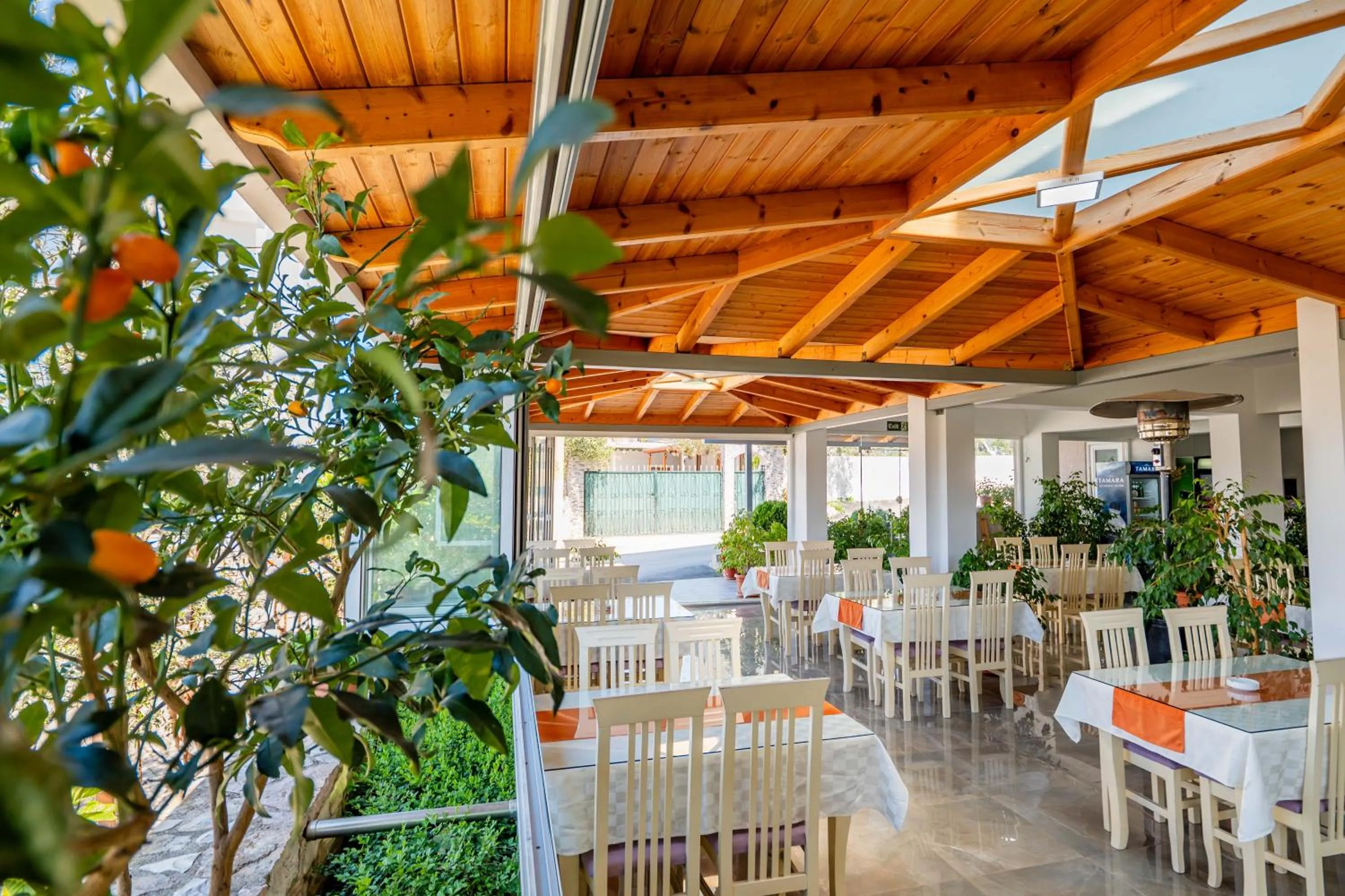 Restaurant/places to eat in Aleksander ApartHotel