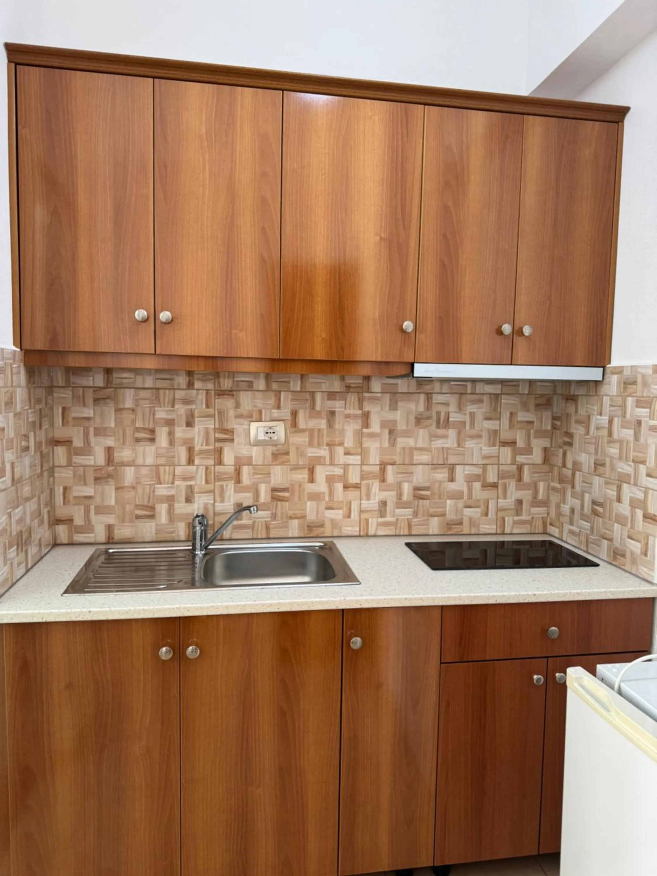 Kitchen or kitchenette in Aleksander ApartHotel