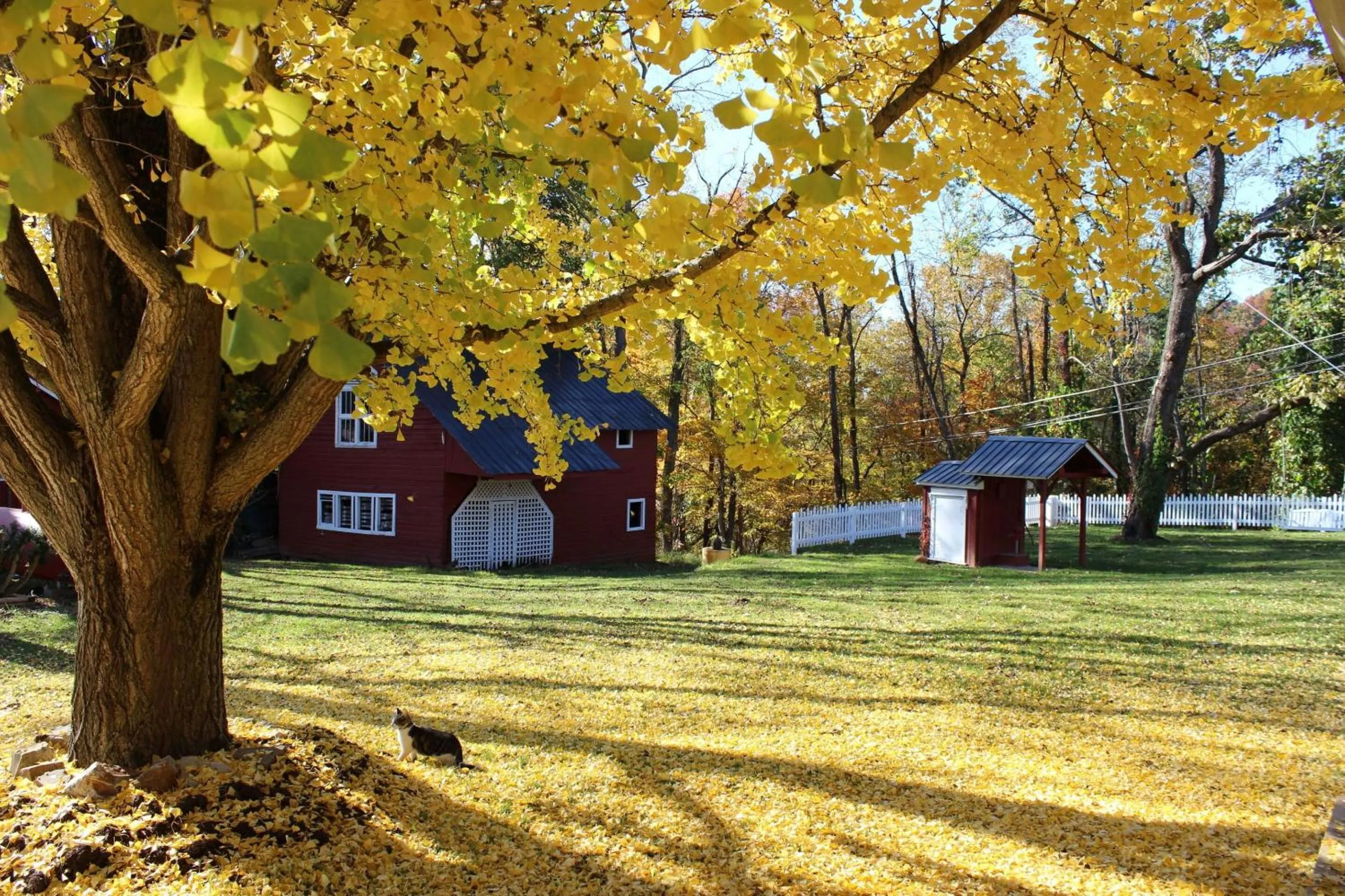 Property building in Millsap-Baker Estate