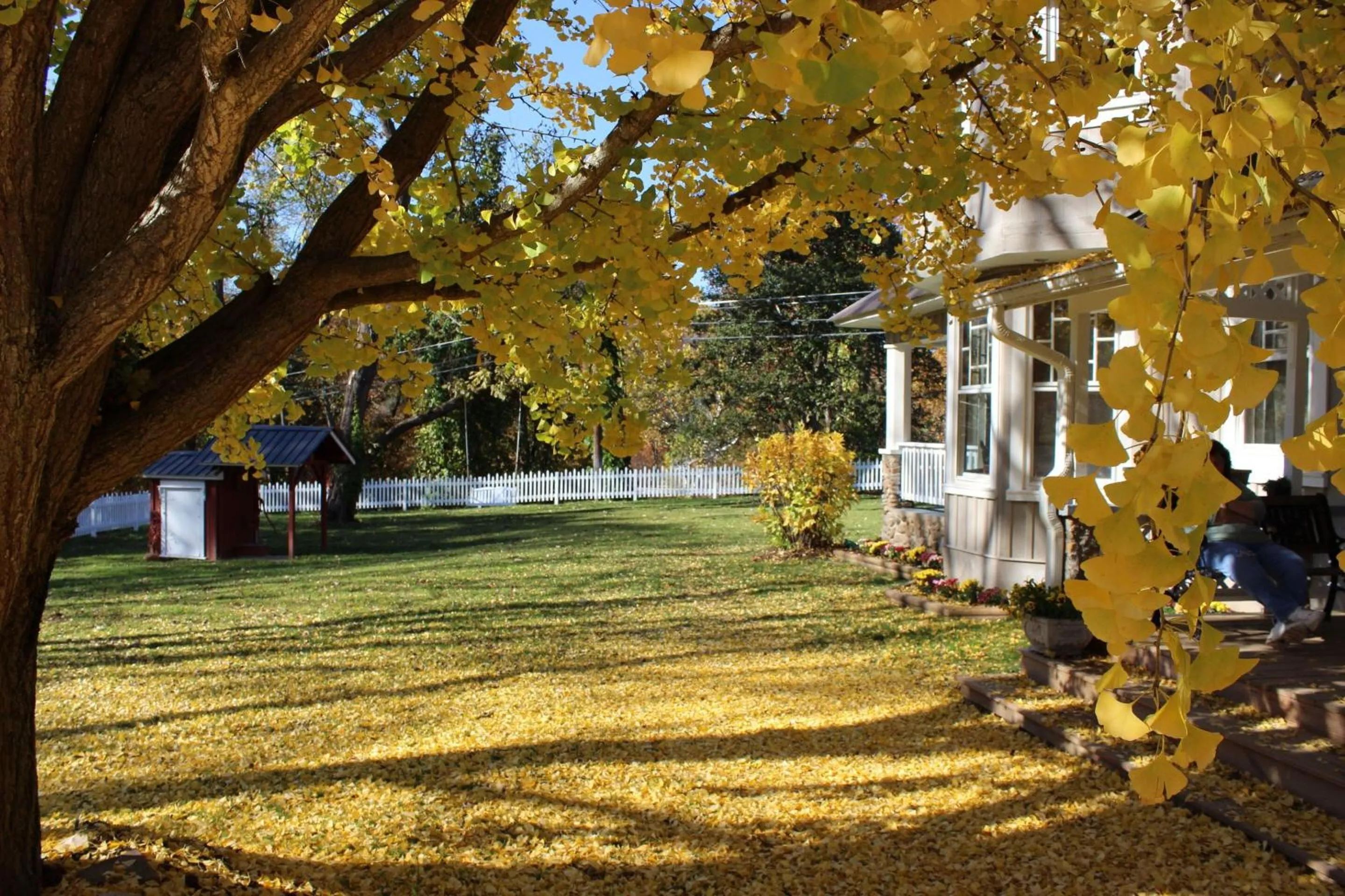 Property building in Millsap-Baker Estate