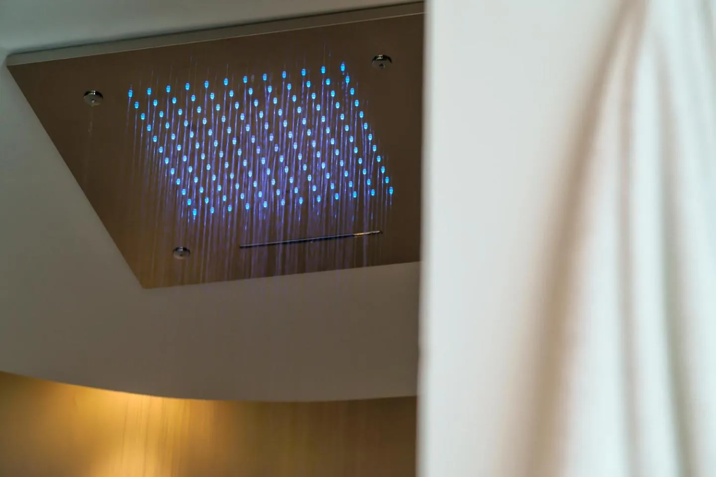 Shower in Hotel Meeting