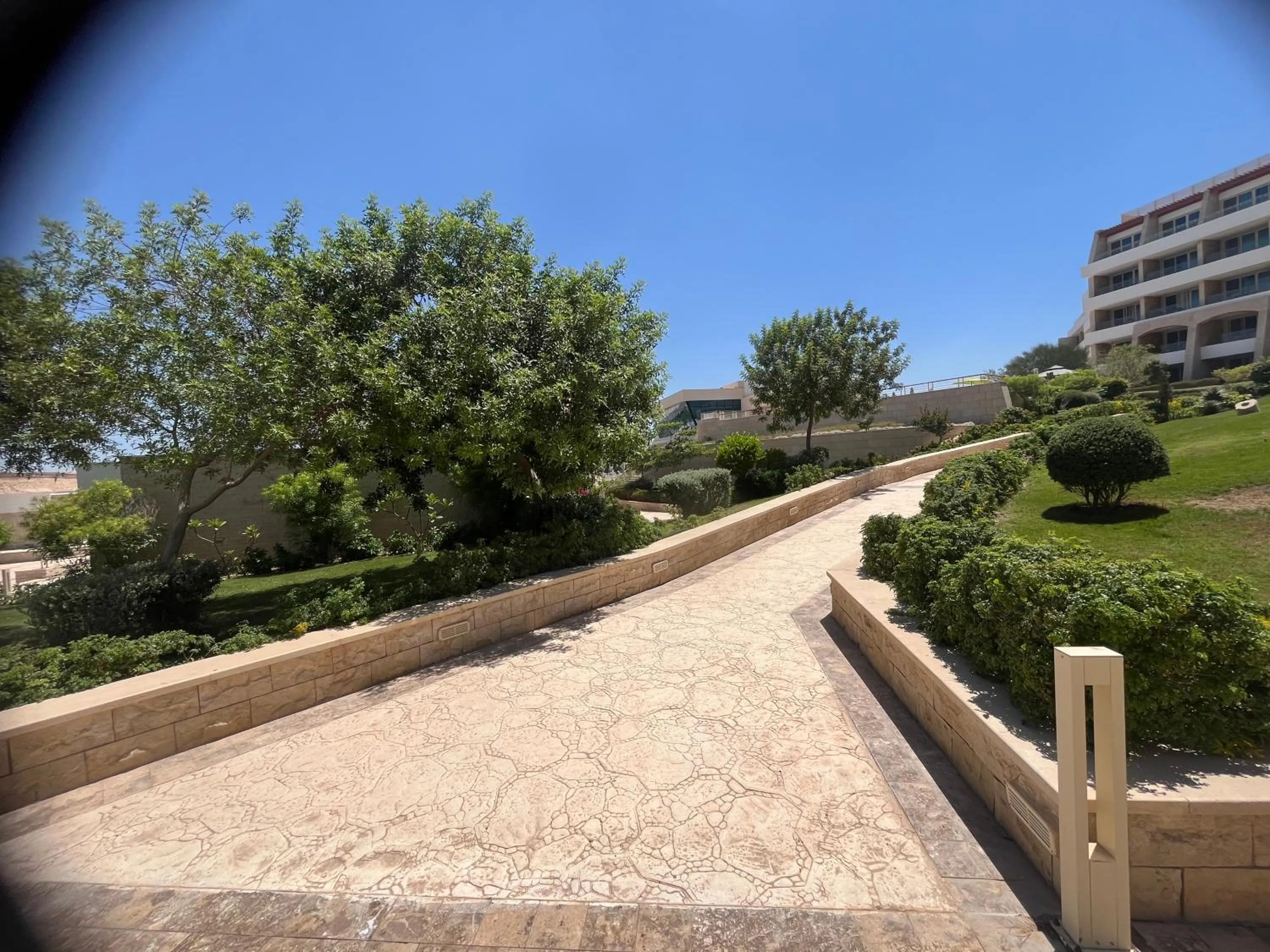 Garden in Tolip Resort El Galala Heights