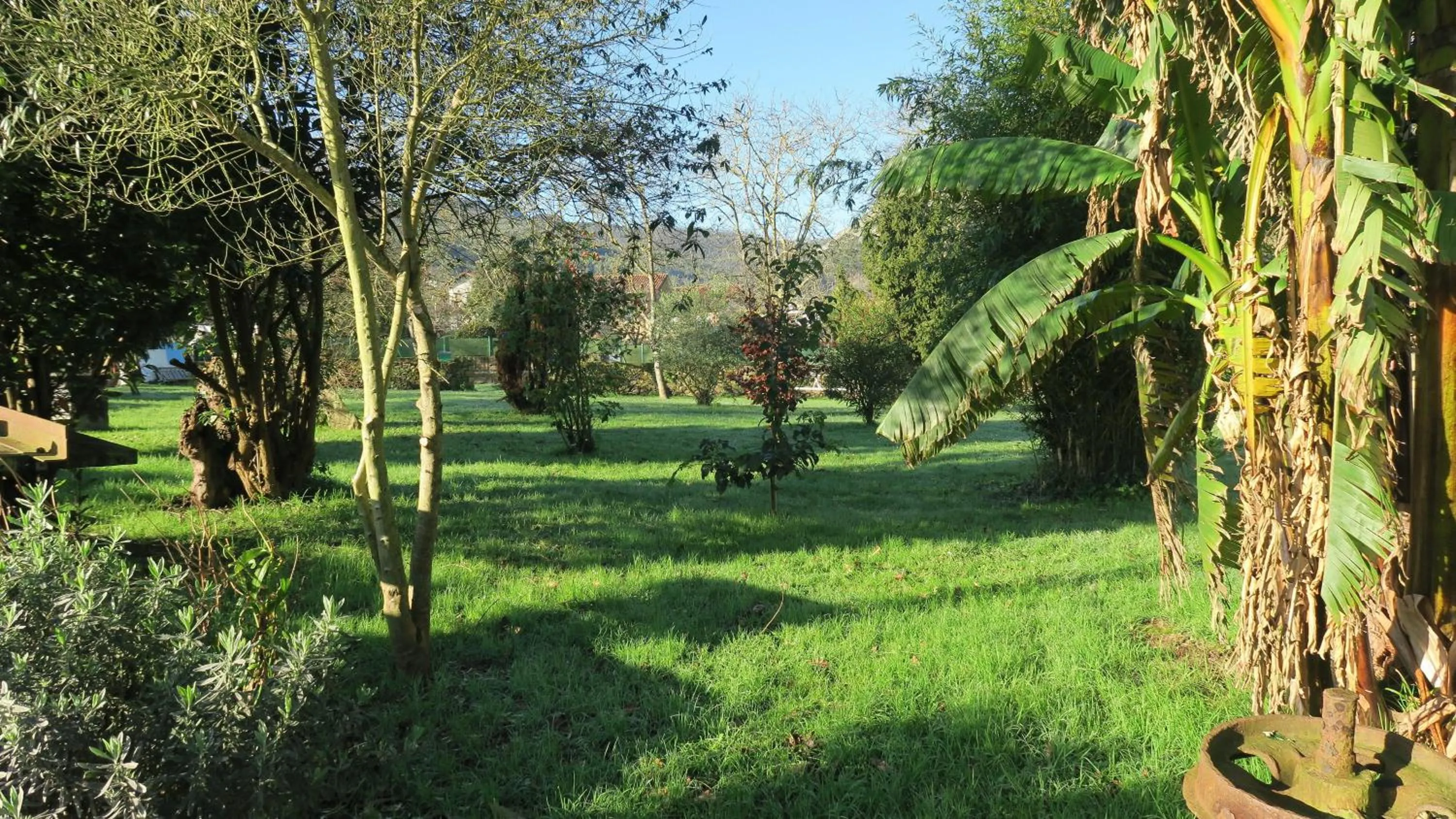 Natural landscape in Posada Casa Rosalia
