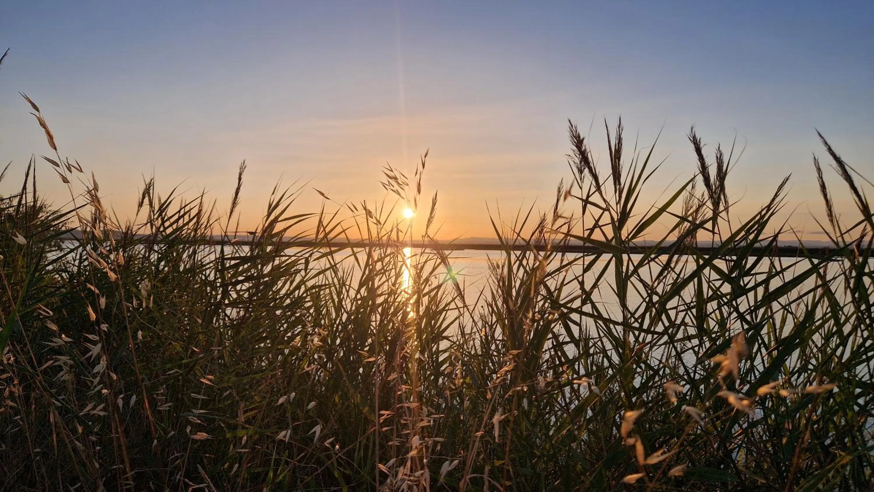 Sunset in Sable & Pampas - Meublé de Tourisme 5 étoiles