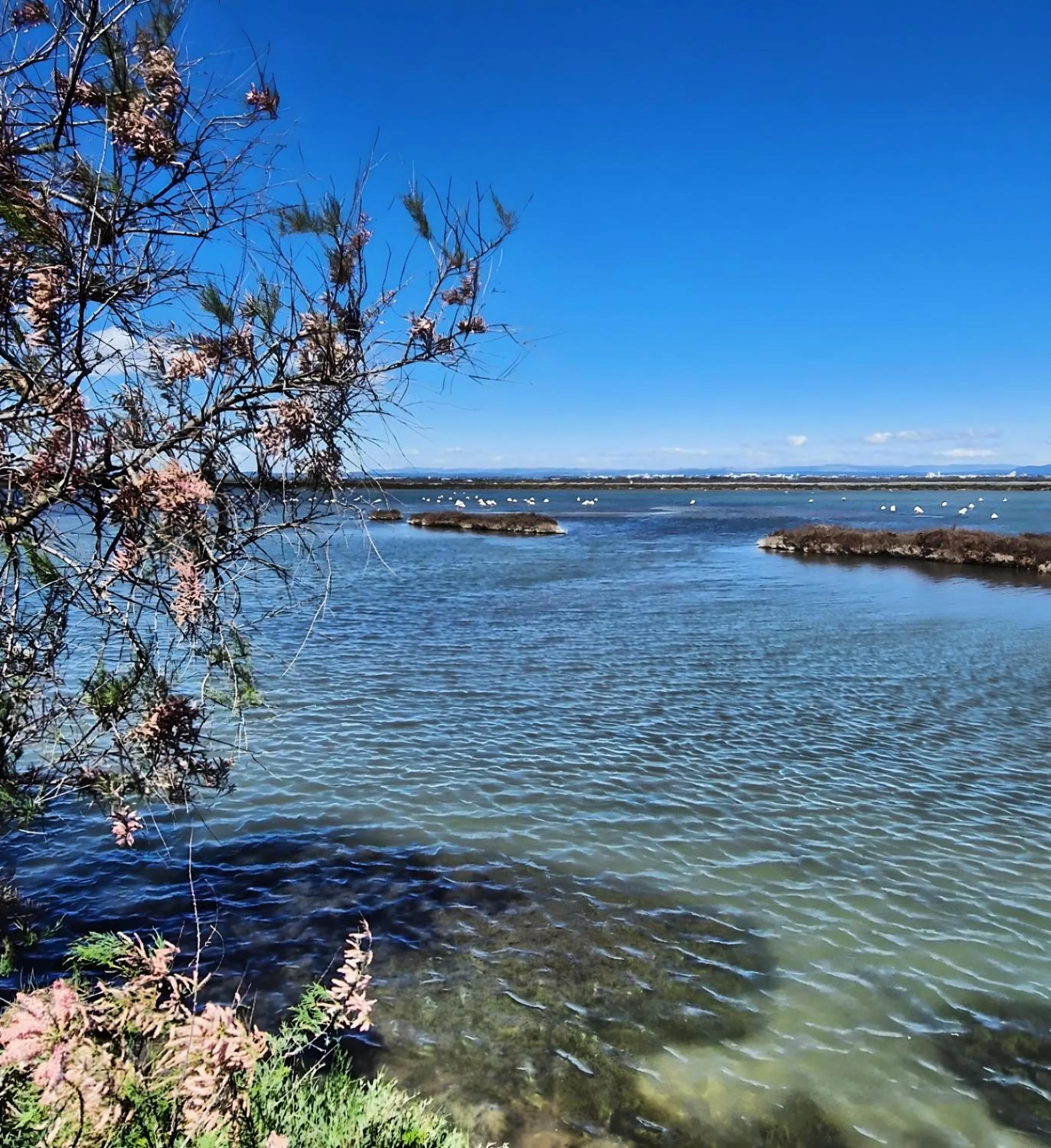 Nearby landmark in Sable & Pampas - Meublé de Tourisme 5 étoiles