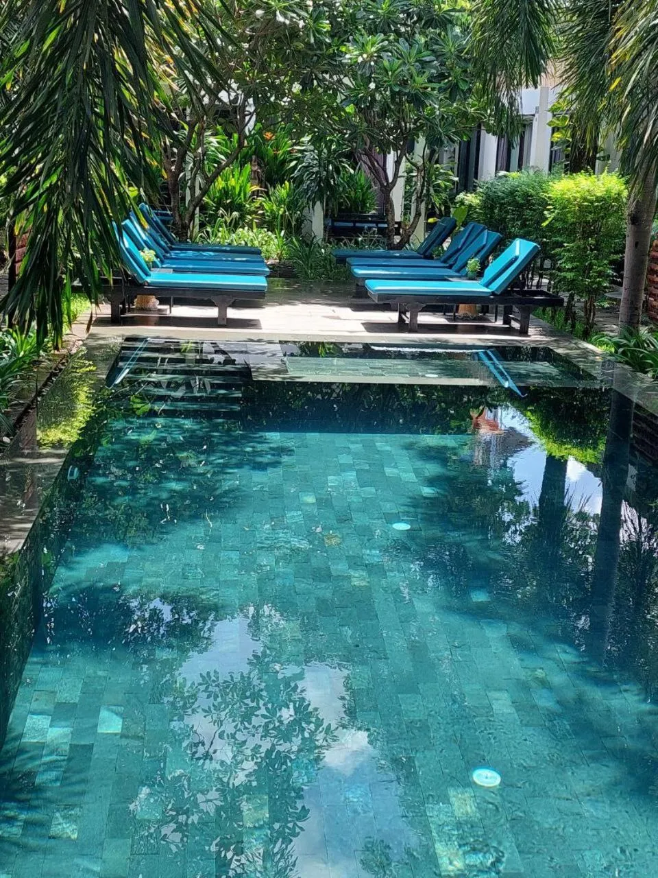 Garden in Tunnel Urban Retreat