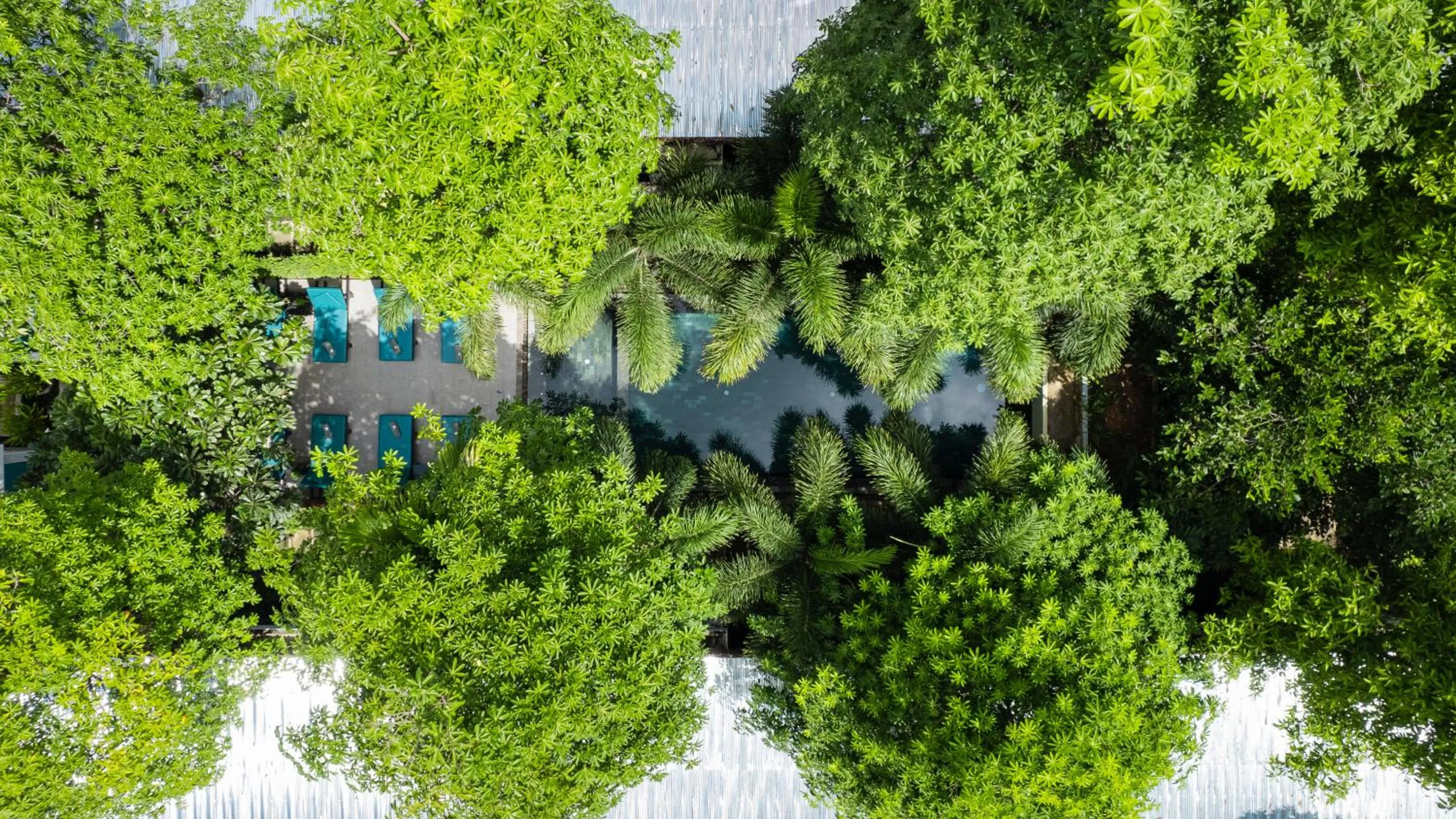 Day in Tunnel Urban Retreat