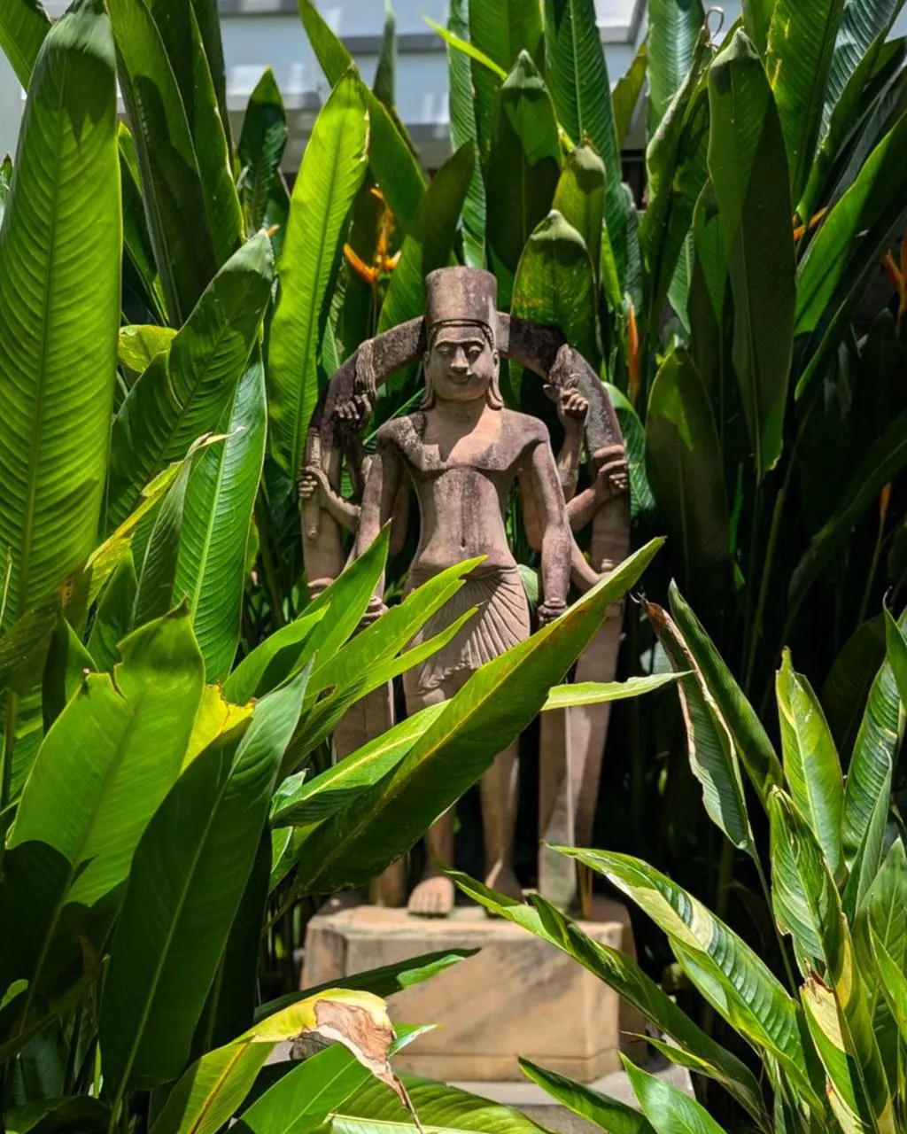 Day in Tunnel Urban Retreat