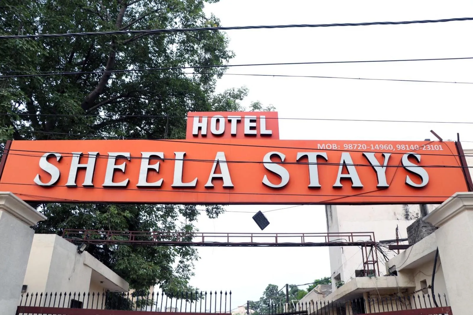 Sheela Stays