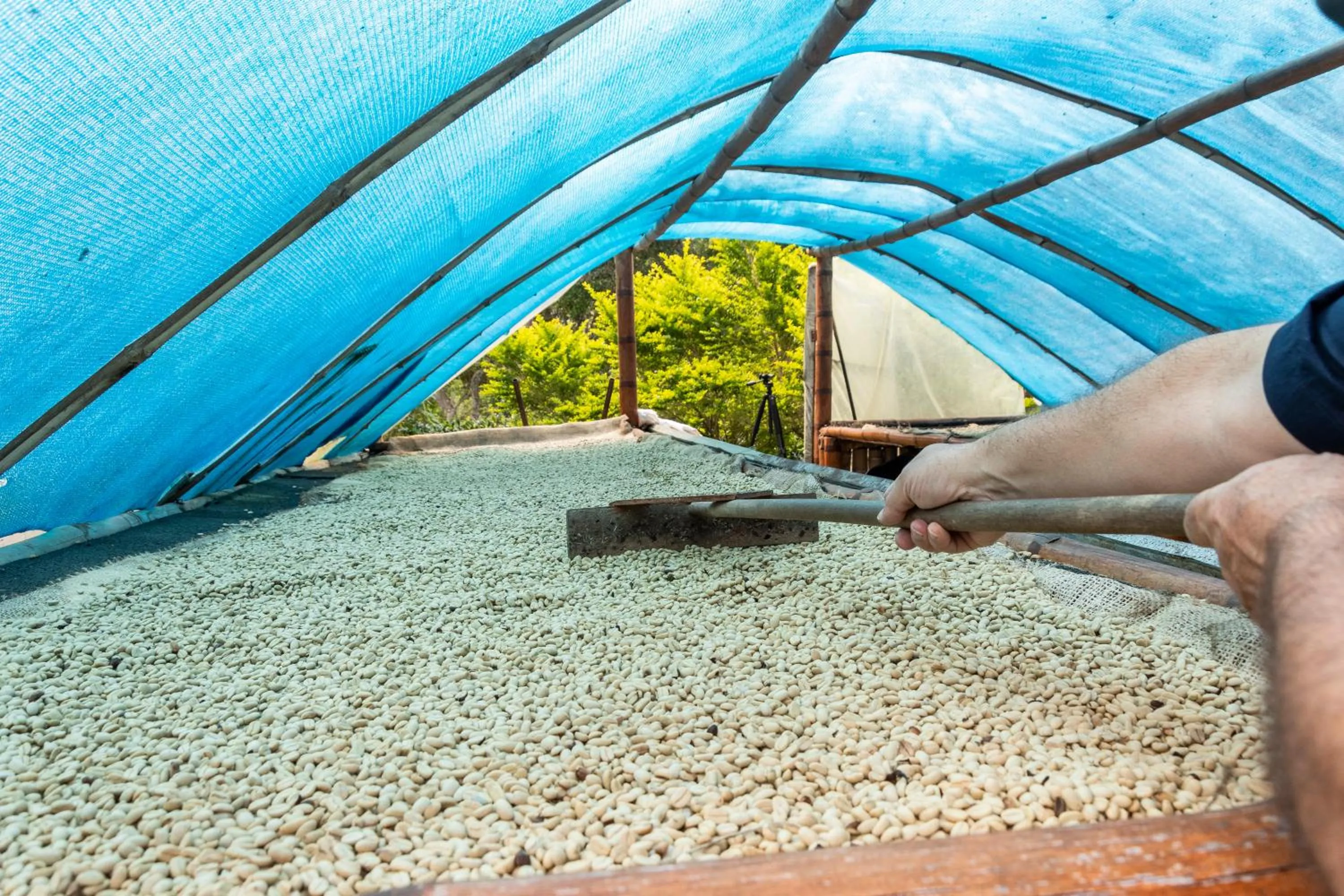 Off site in San Agustin Internacional Hotel