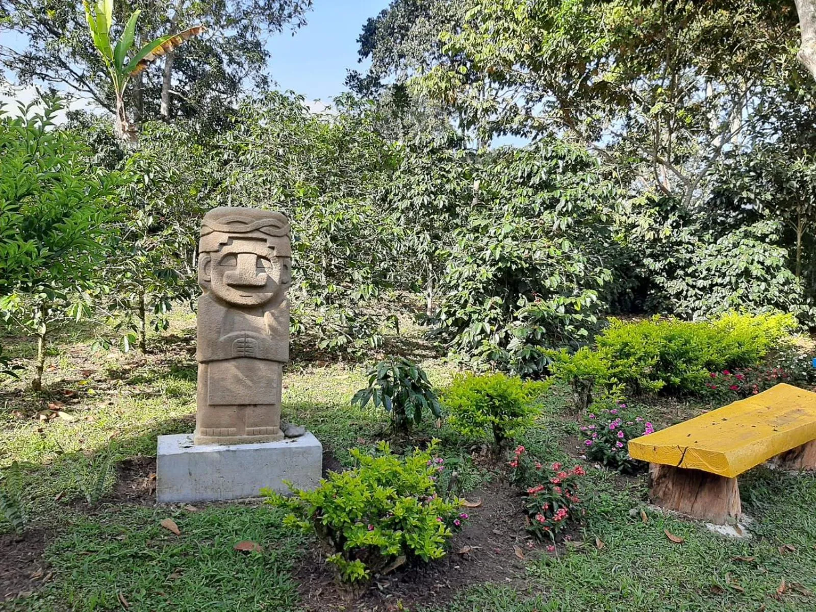 Garden in San Agustin Internacional Hotel