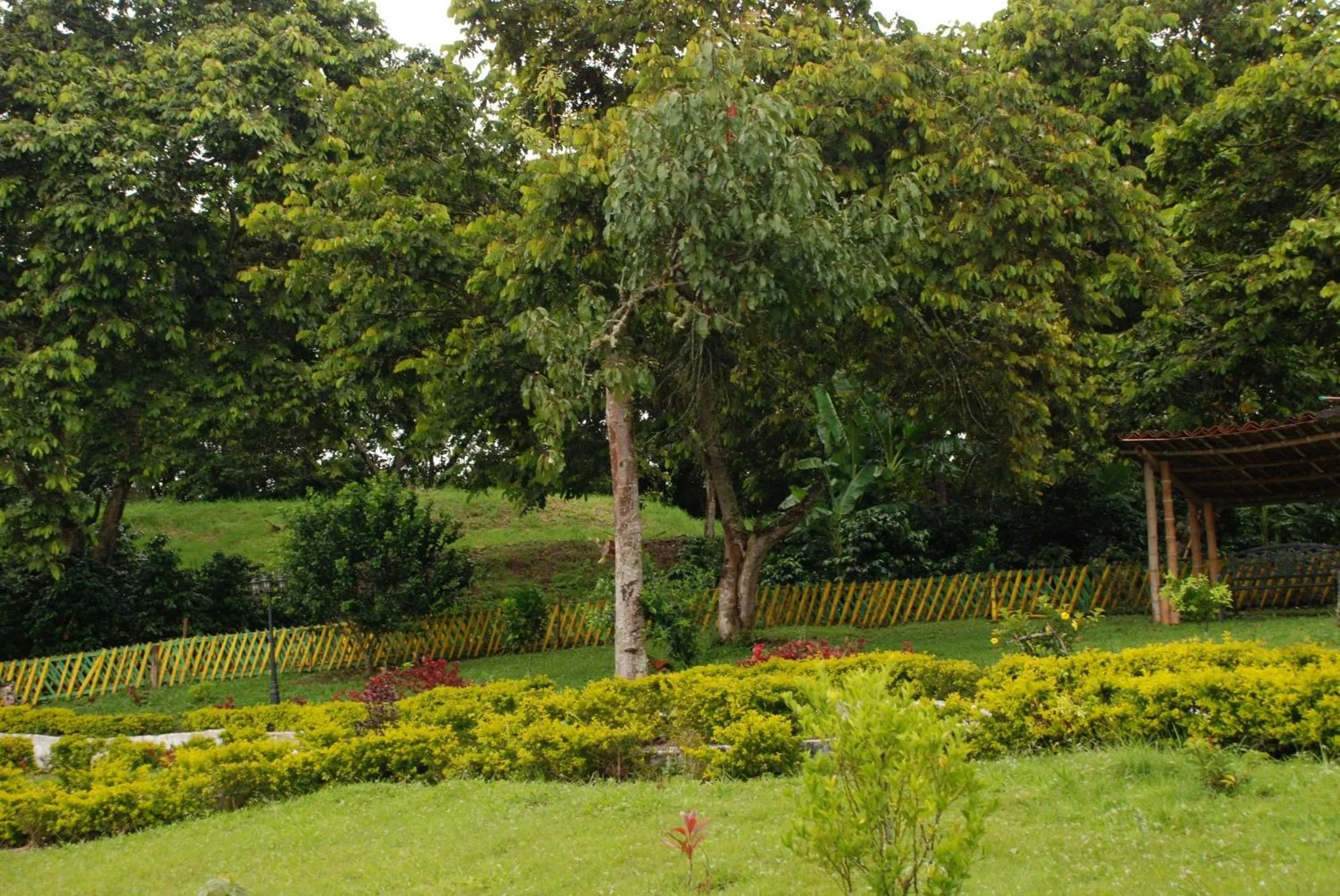 Activities in San Agustin Internacional Hotel