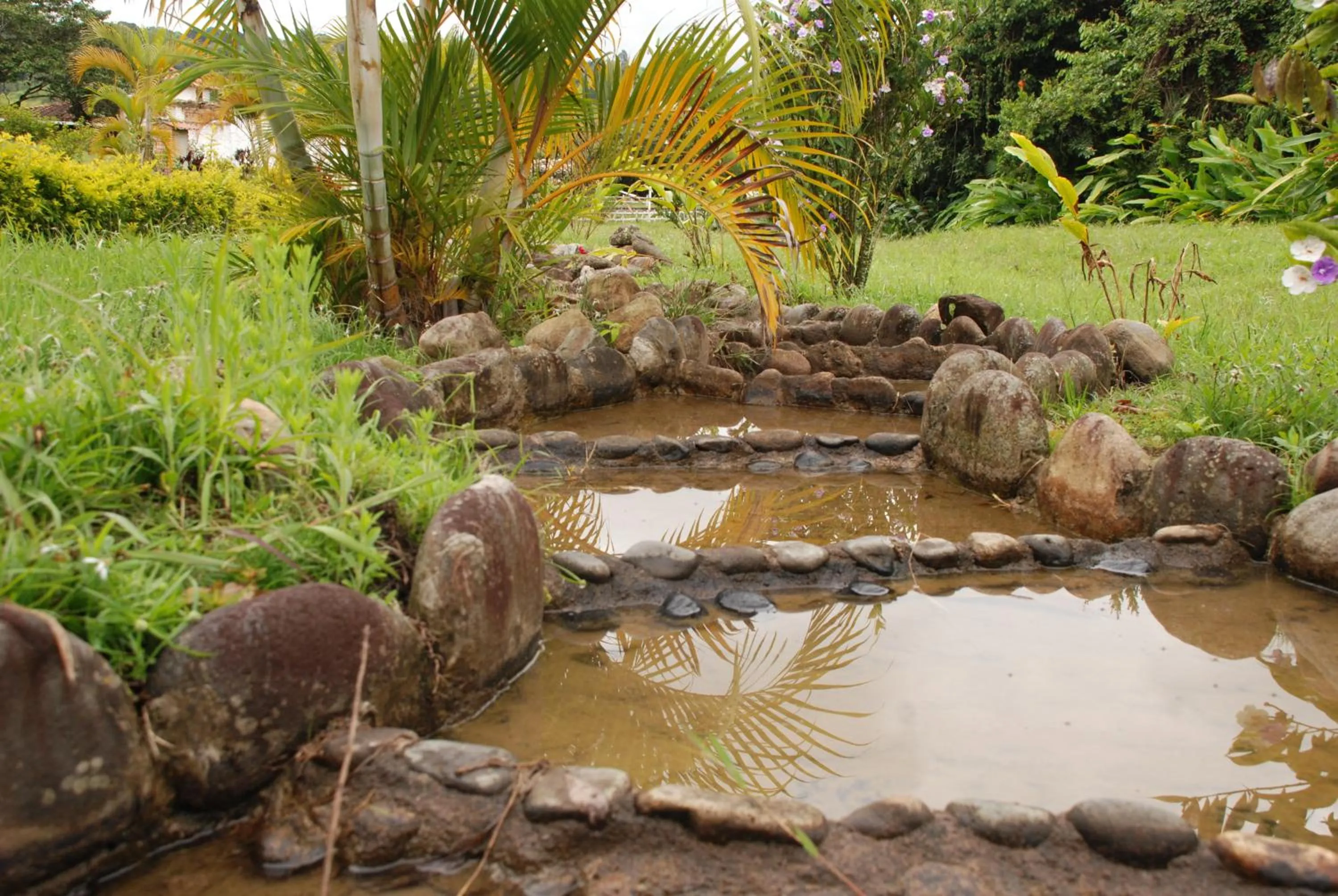 Natural landscape in San Agustin Internacional Hotel