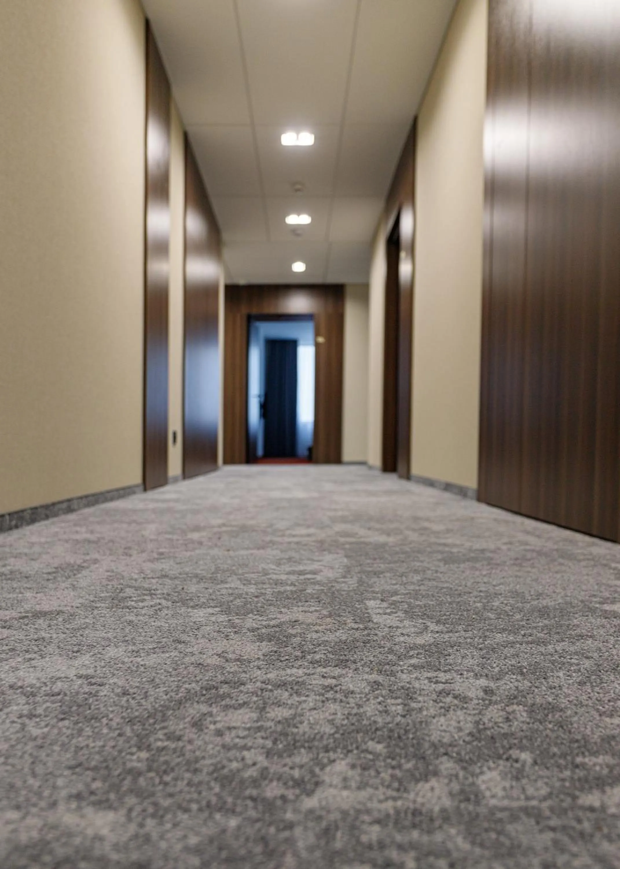 Area and facilities in LEV Lifestyle Hotel - Maestro