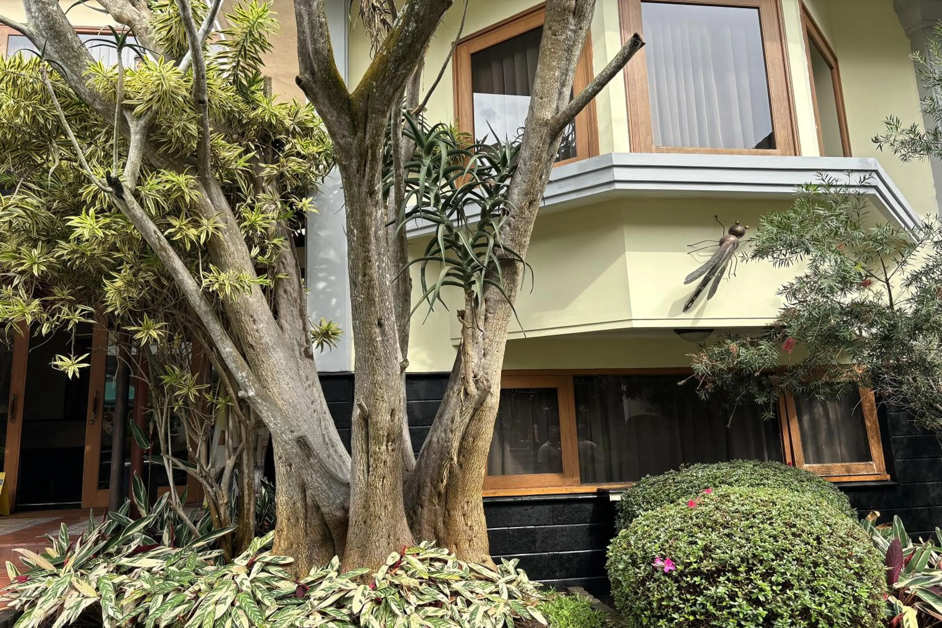 Garden in Hotel Pesona Bamboe Lembang