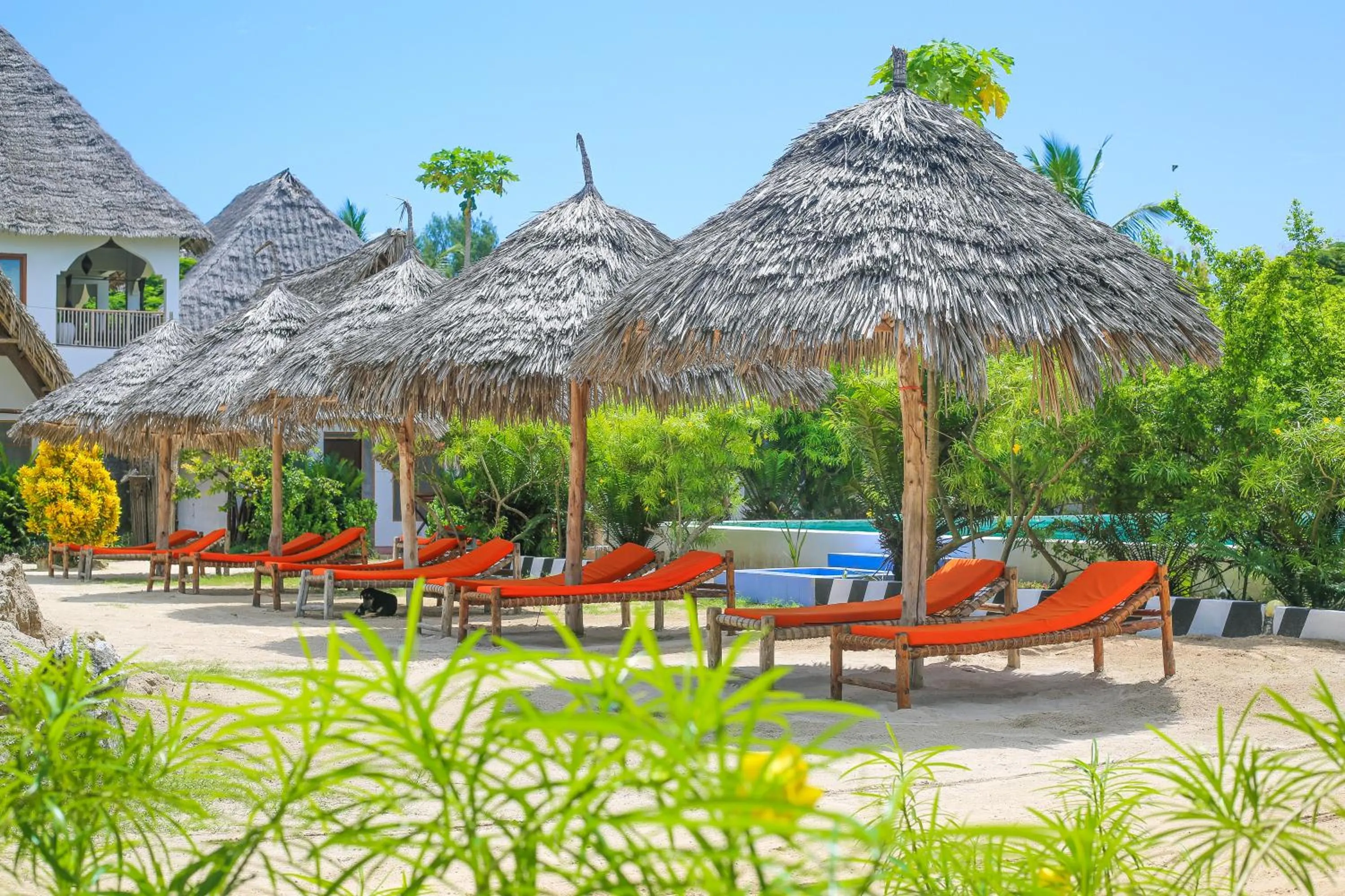 Property building in New Jambo Bungalows