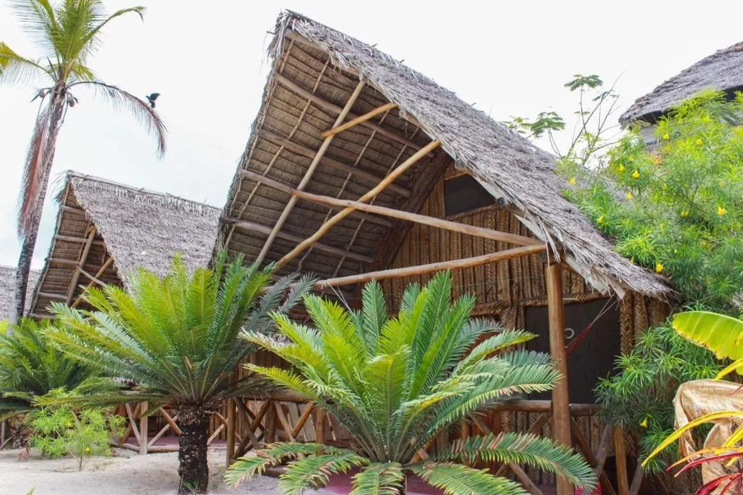 Property building in New Jambo Bungalows