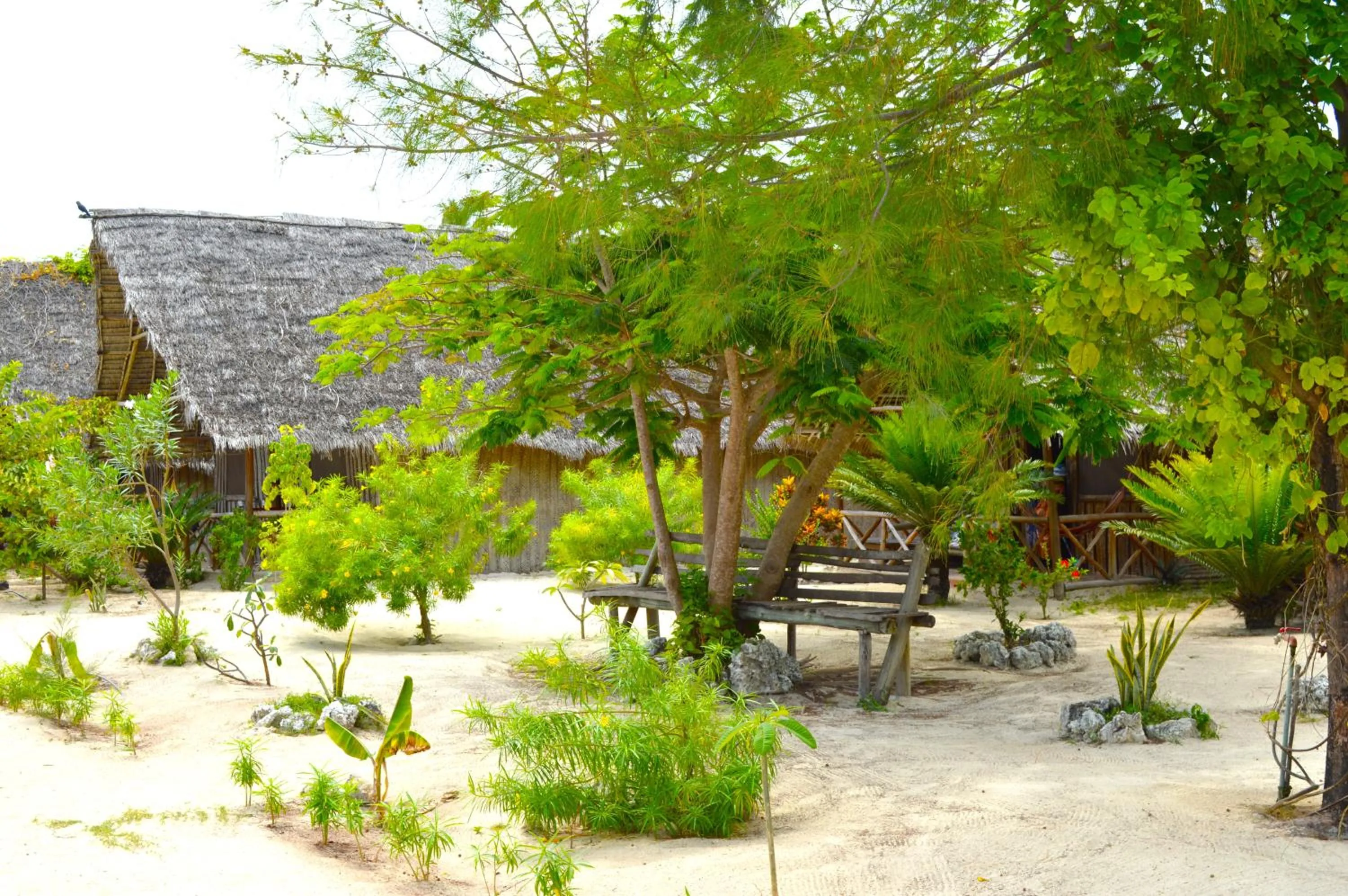 Garden view in New Jambo Bungalows
