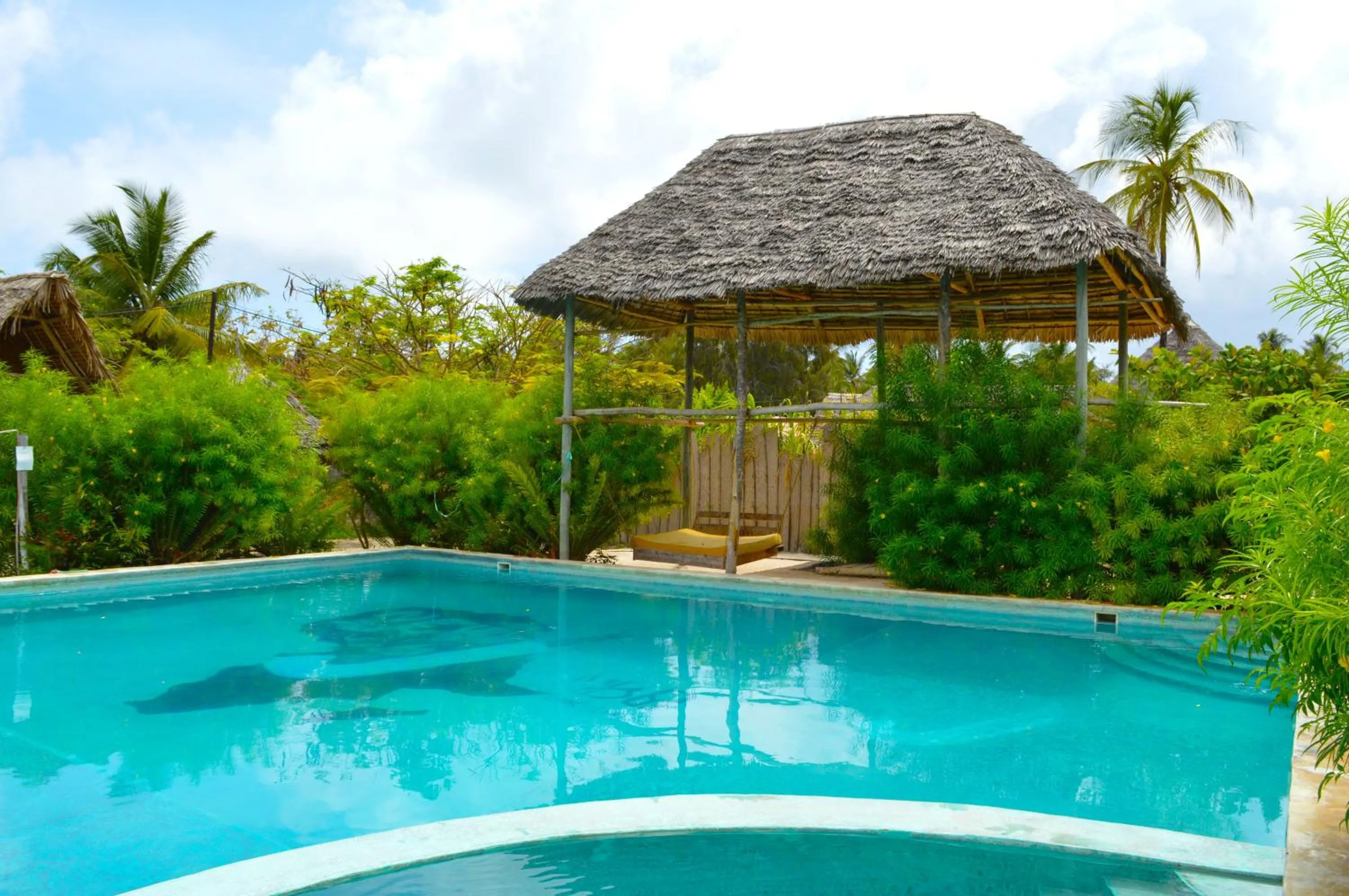 Swimming pool in New Jambo Bungalows