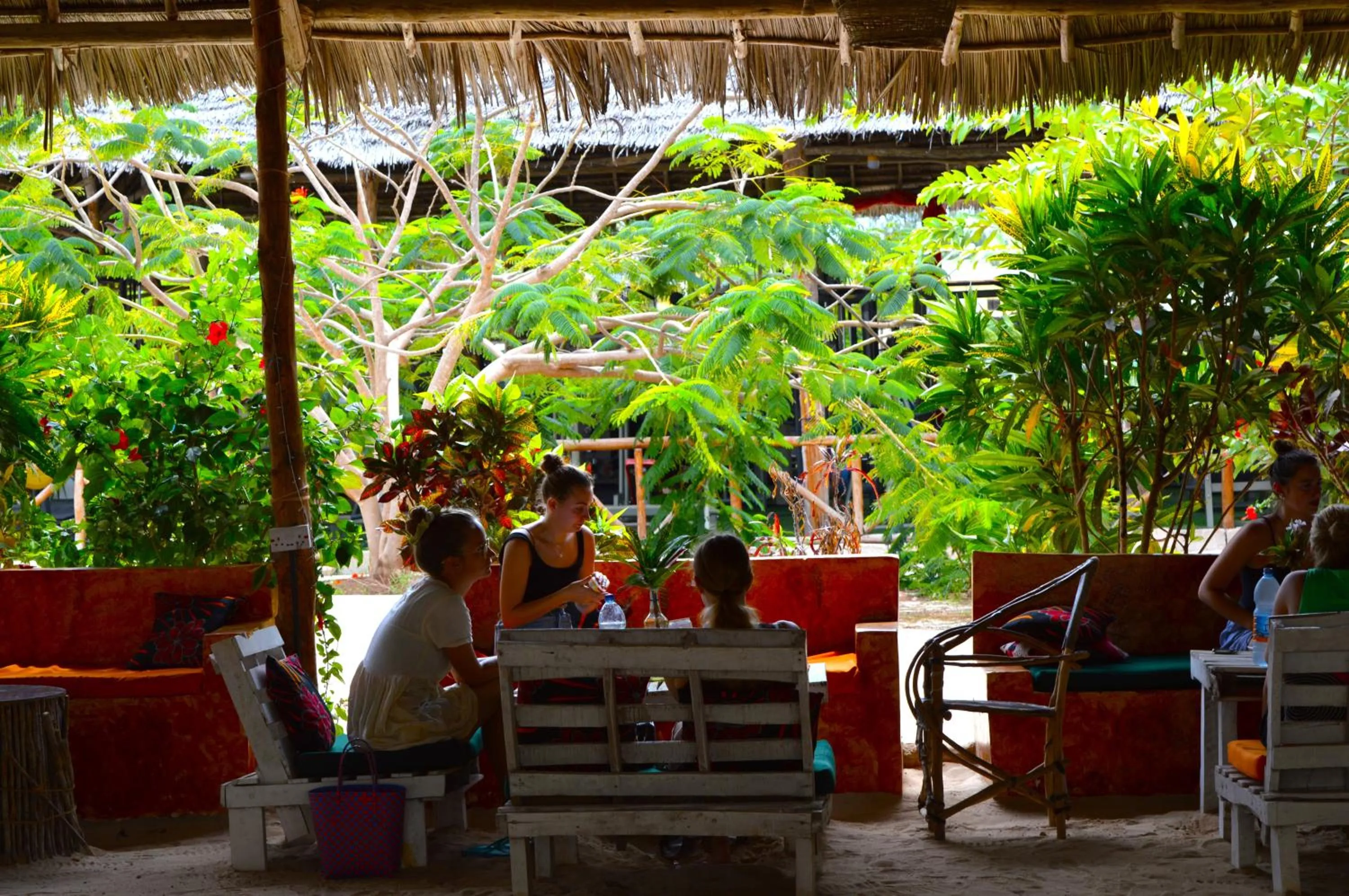 Restaurant/places to eat in New Jambo Bungalows