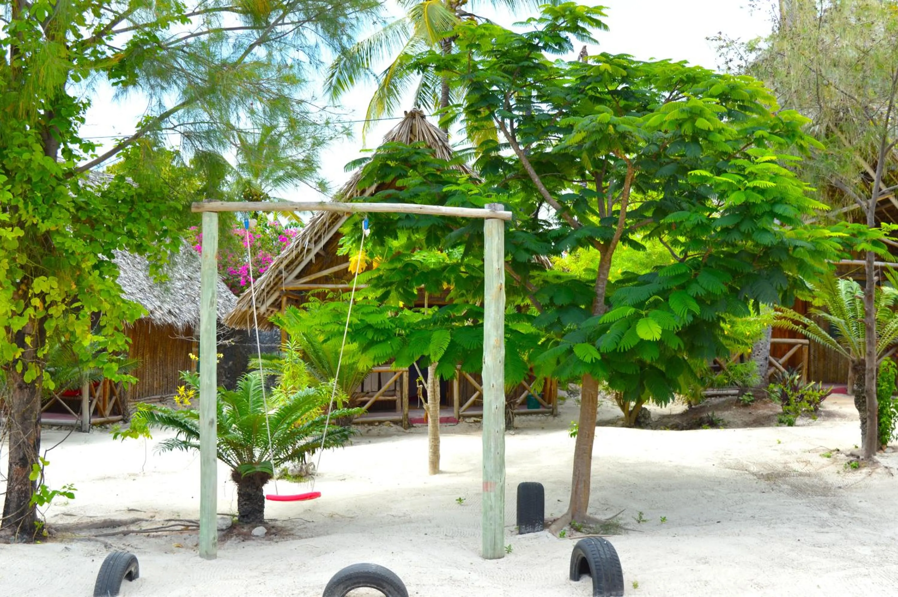 Garden in New Jambo Bungalows