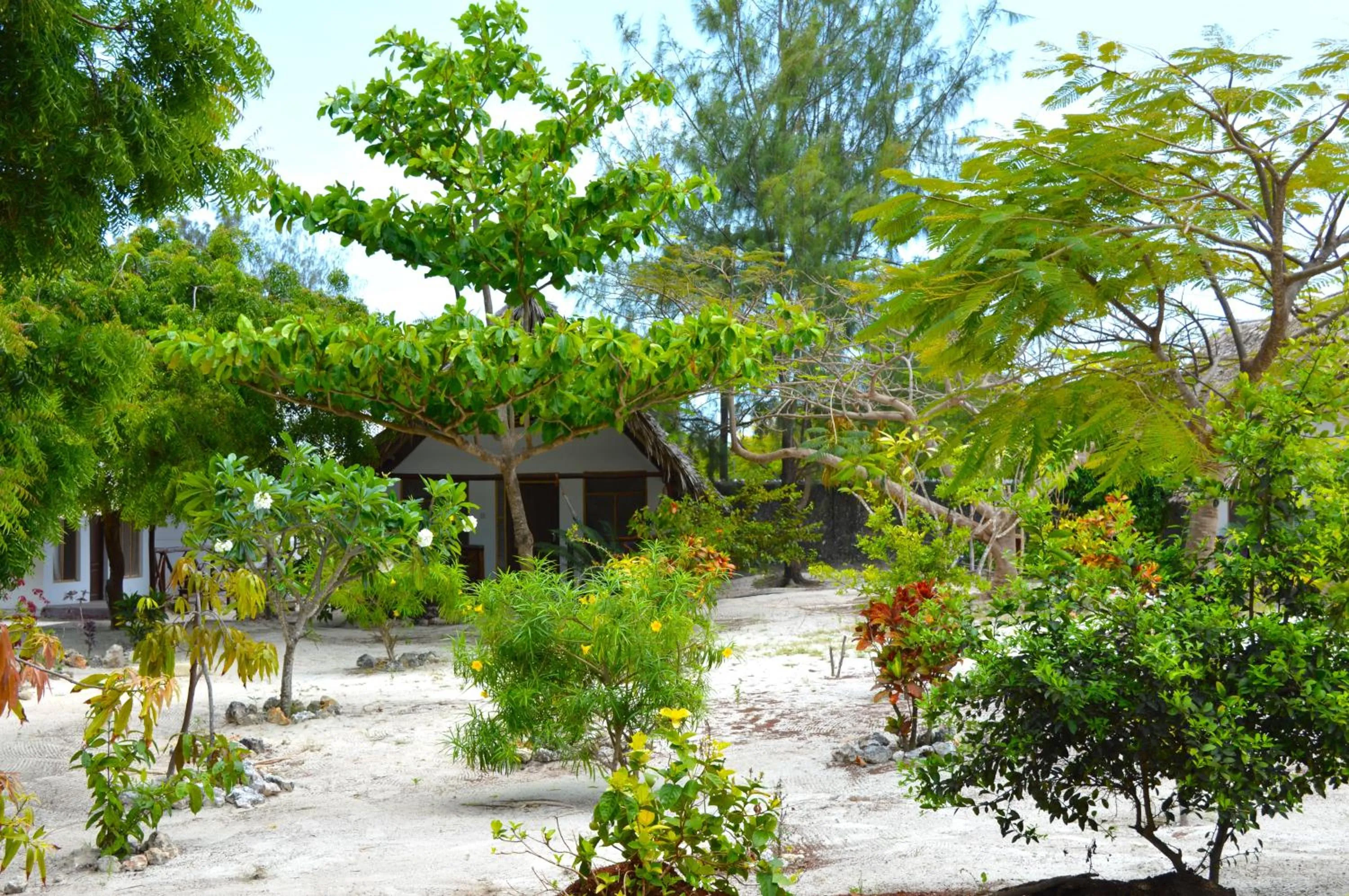 Garden in New Jambo Bungalows