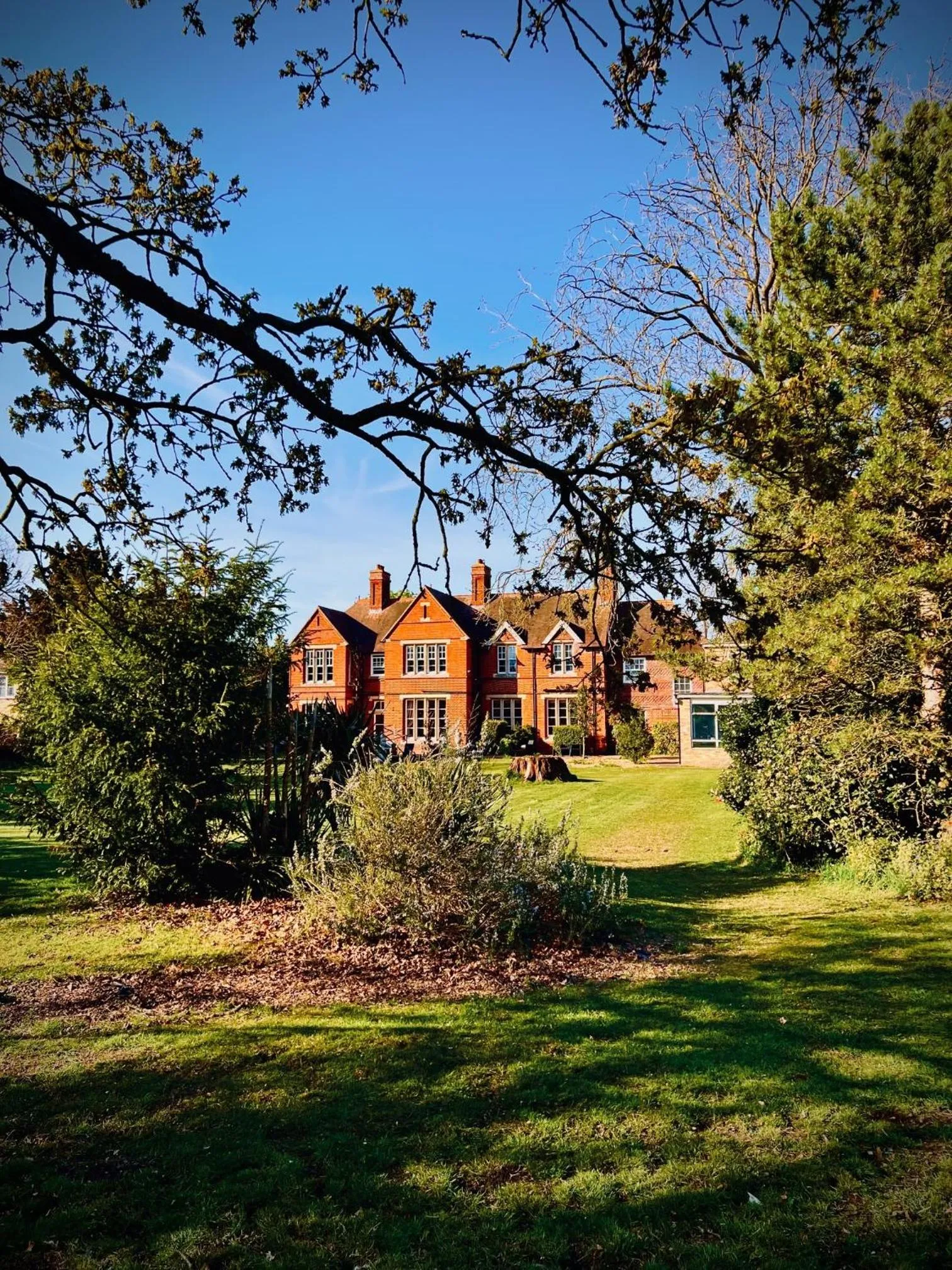 Garden in Willingham House Hotel