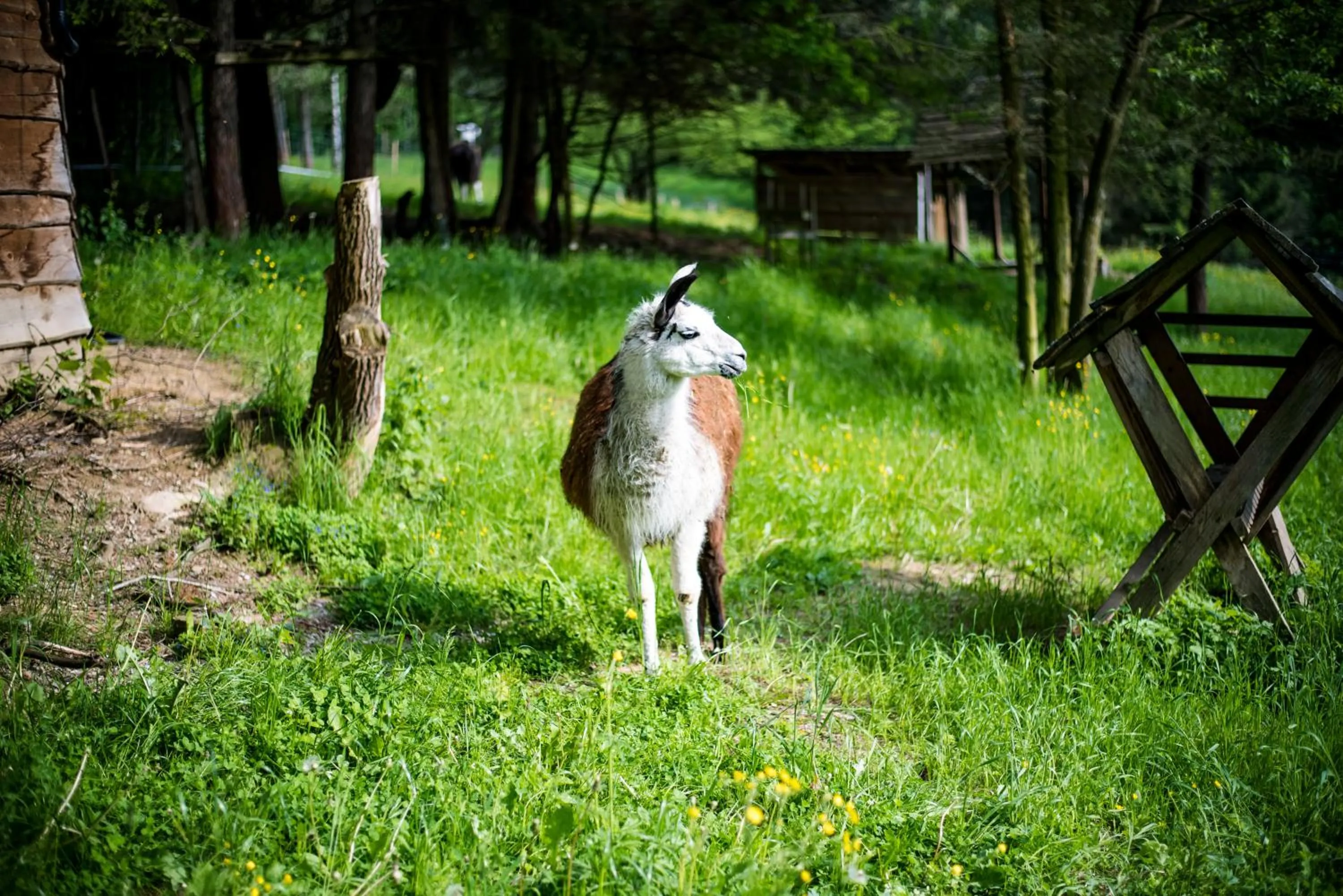 Natural landscape in Wellness & Spa Hotel Čertov