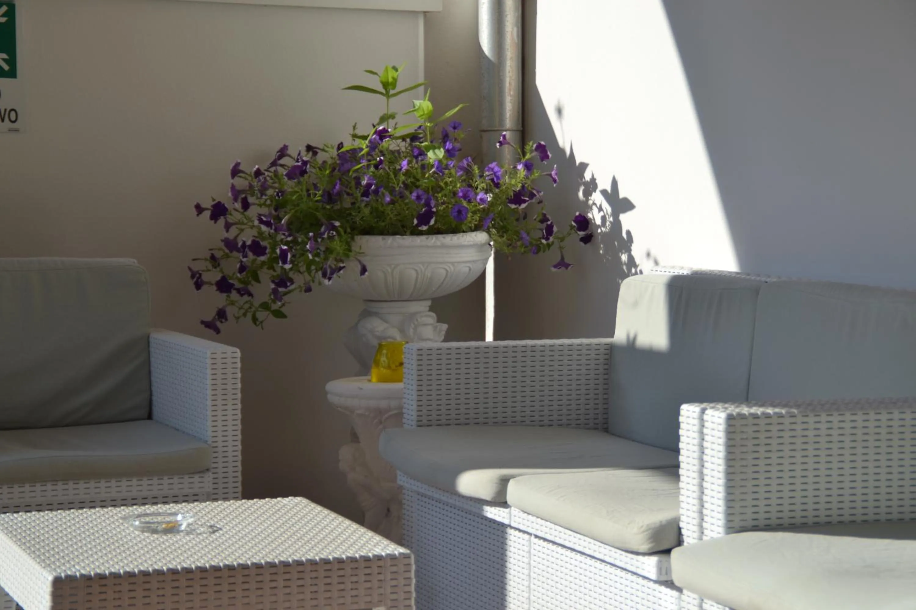 Garden in Hotel Bel Sogno