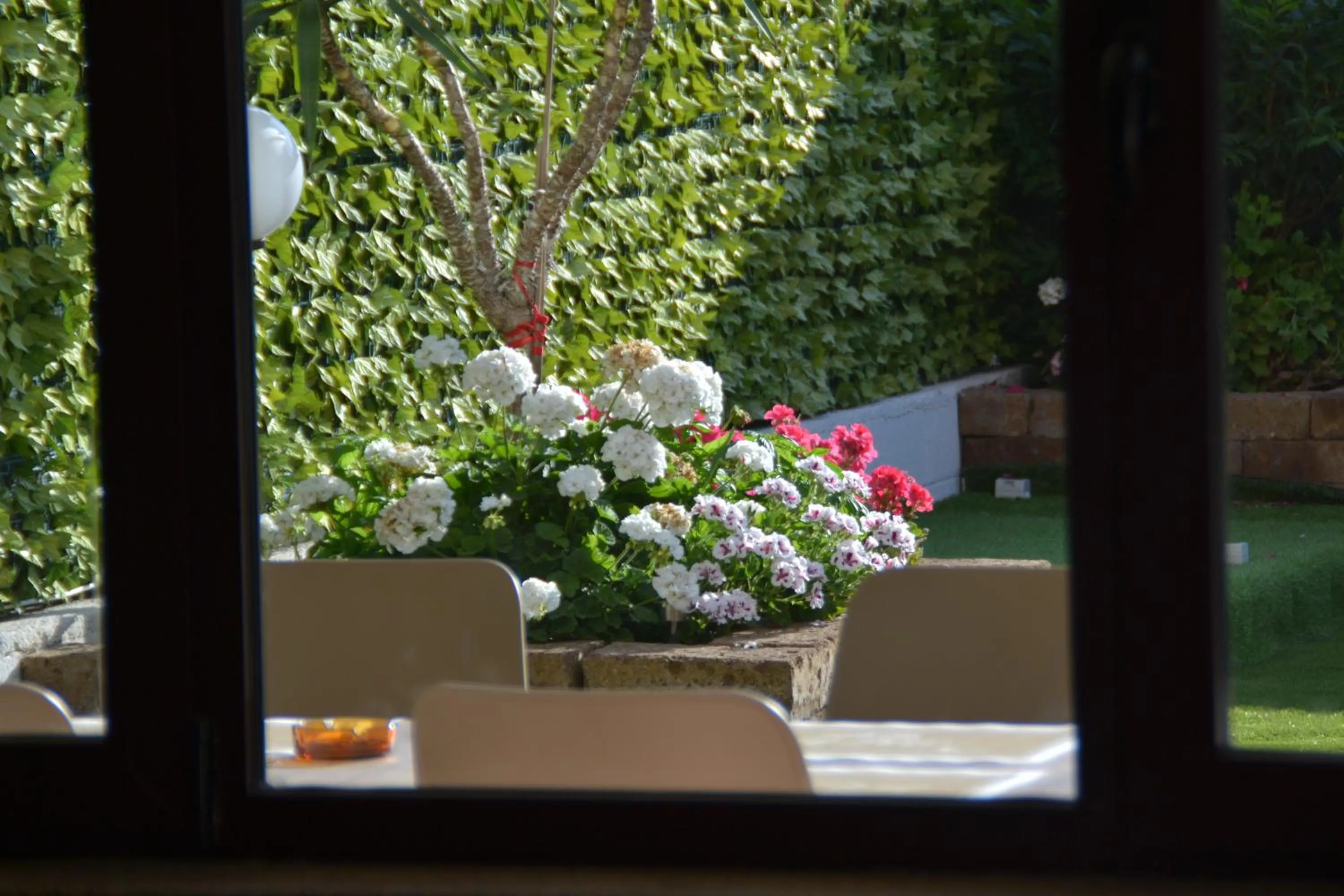 Summer in Hotel Bel Sogno