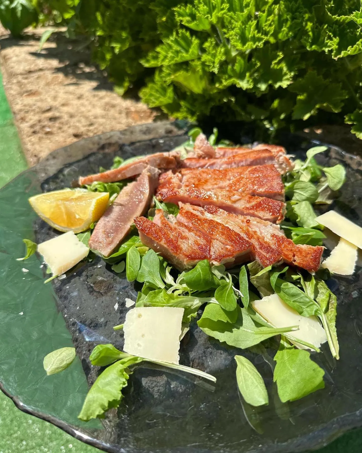 Garden in Hotel Bel Sogno