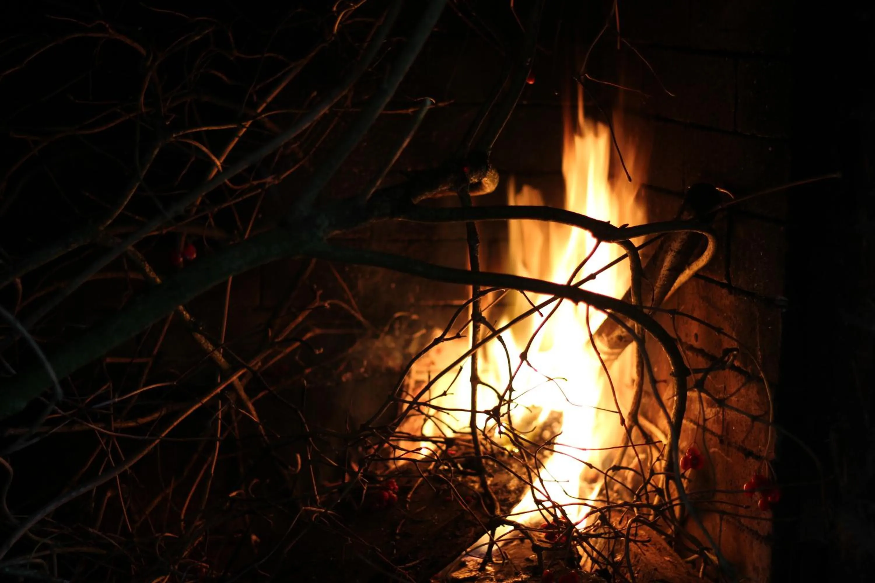 Dinner in B&B 't Zwaluwnest