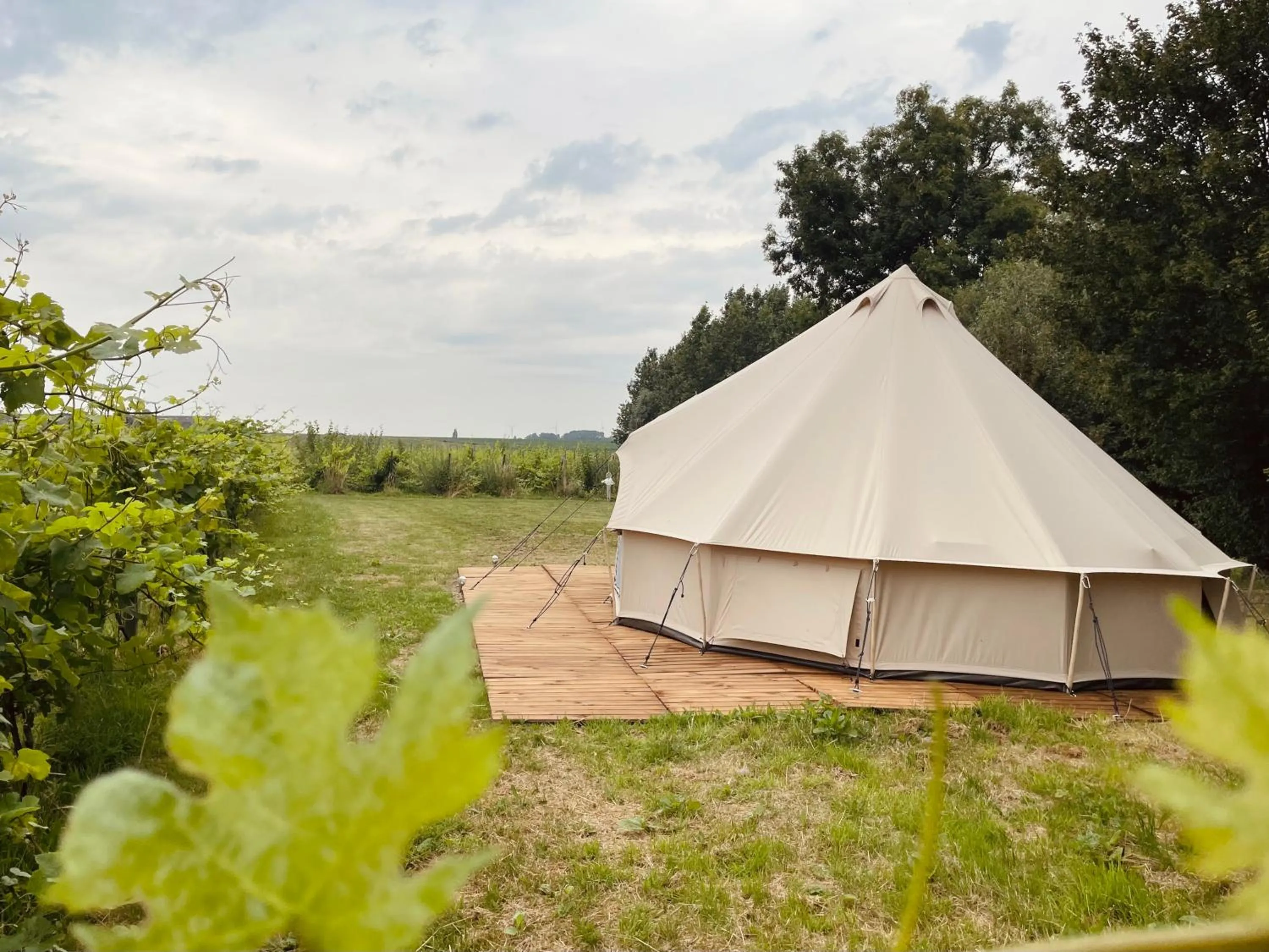 Natural landscape in B&B 't Zwaluwnest