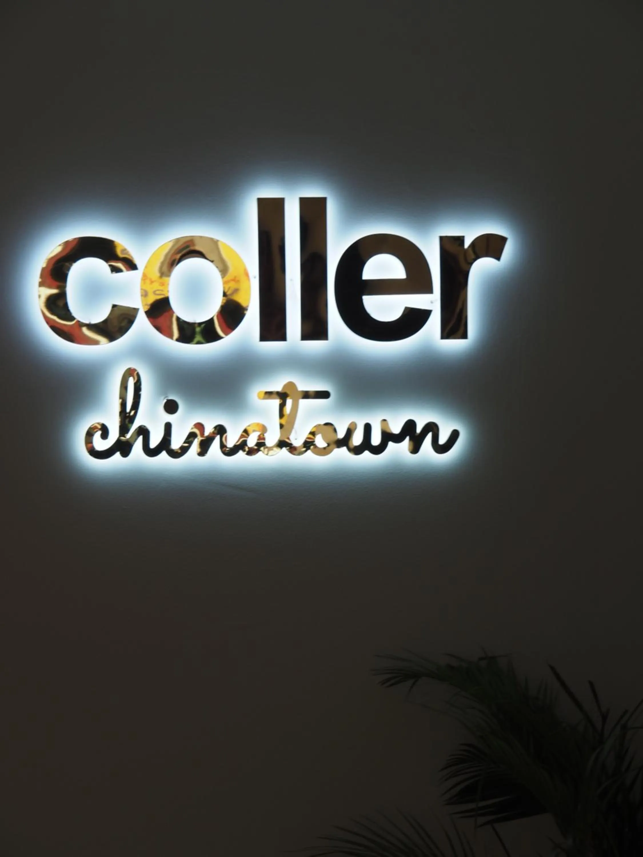 Logo/Certificate/Sign in Coller Chinatown