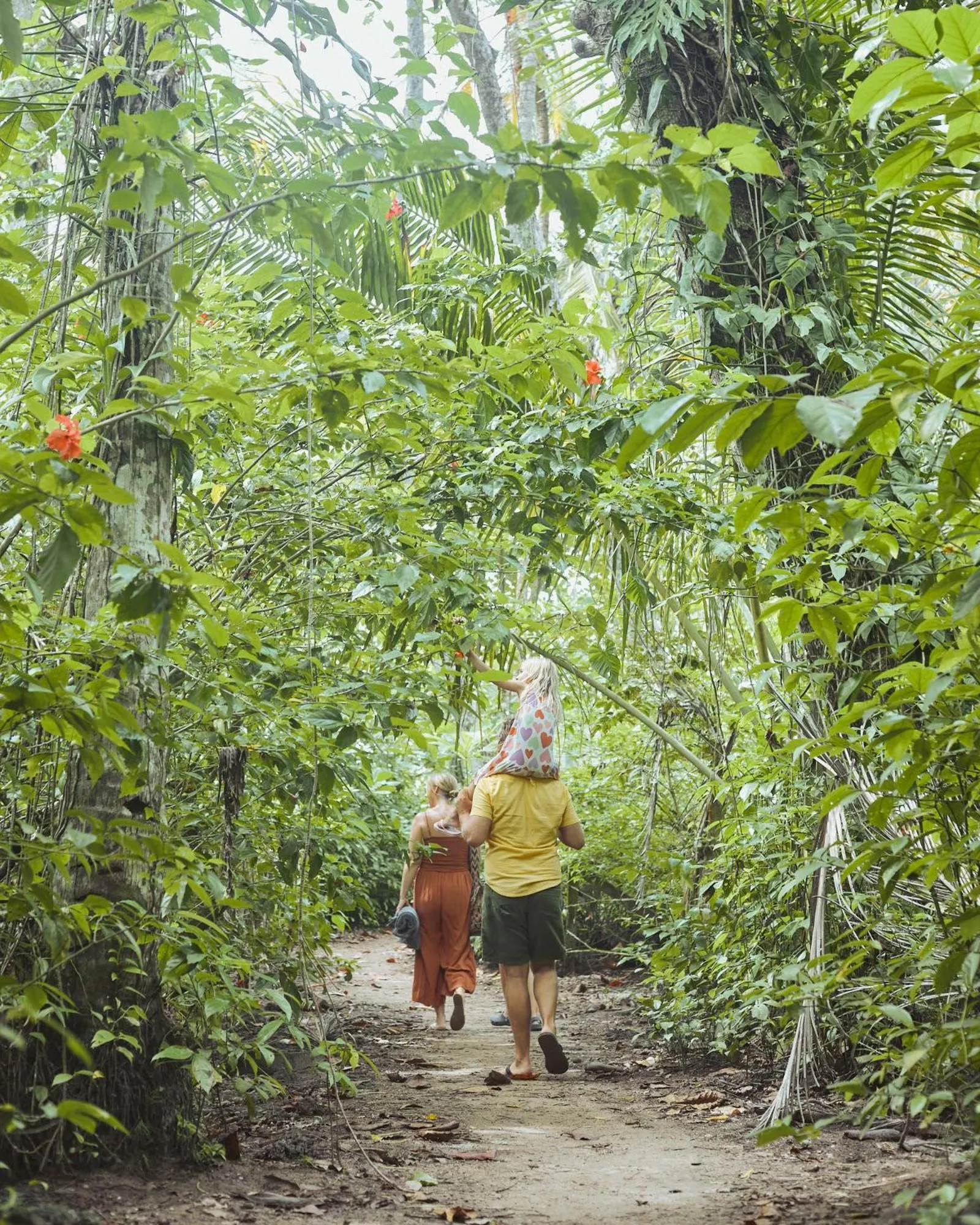 Garden in Hotel Shawandha Costa Rica